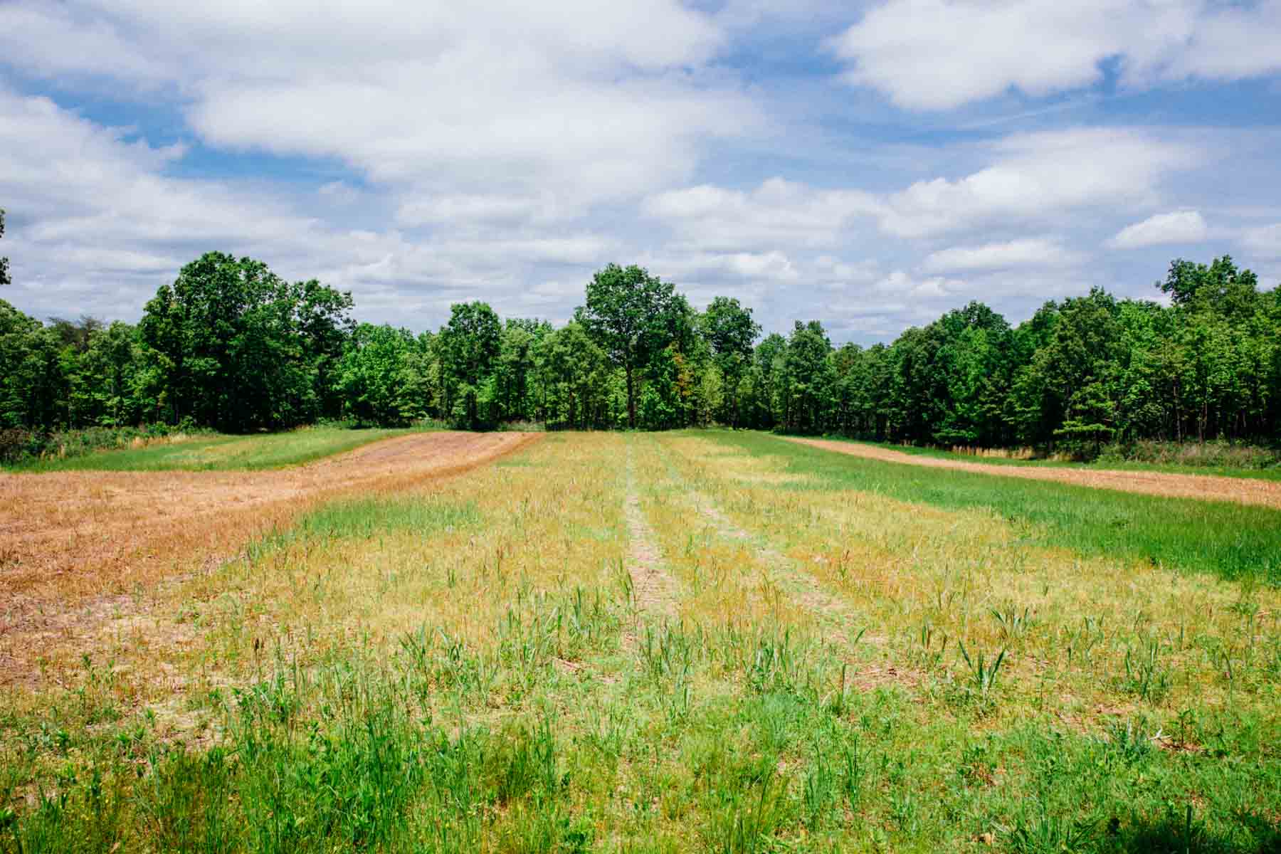 Meadow Creek property picture 66 of 83