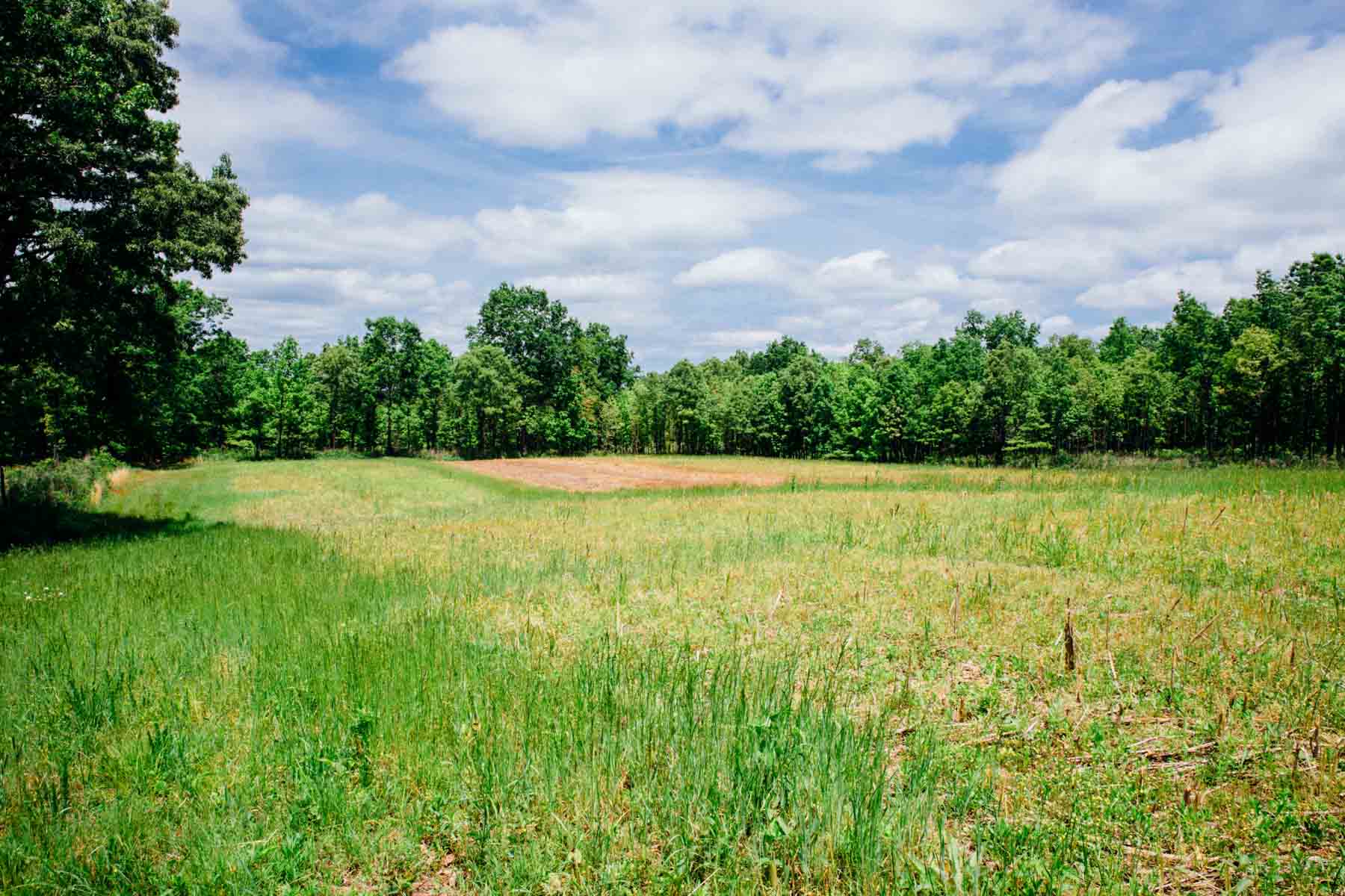 Meadow Creek property picture 68 of 83