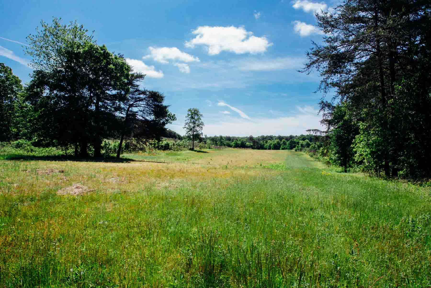 Meadow Creek property picture 70 of 83