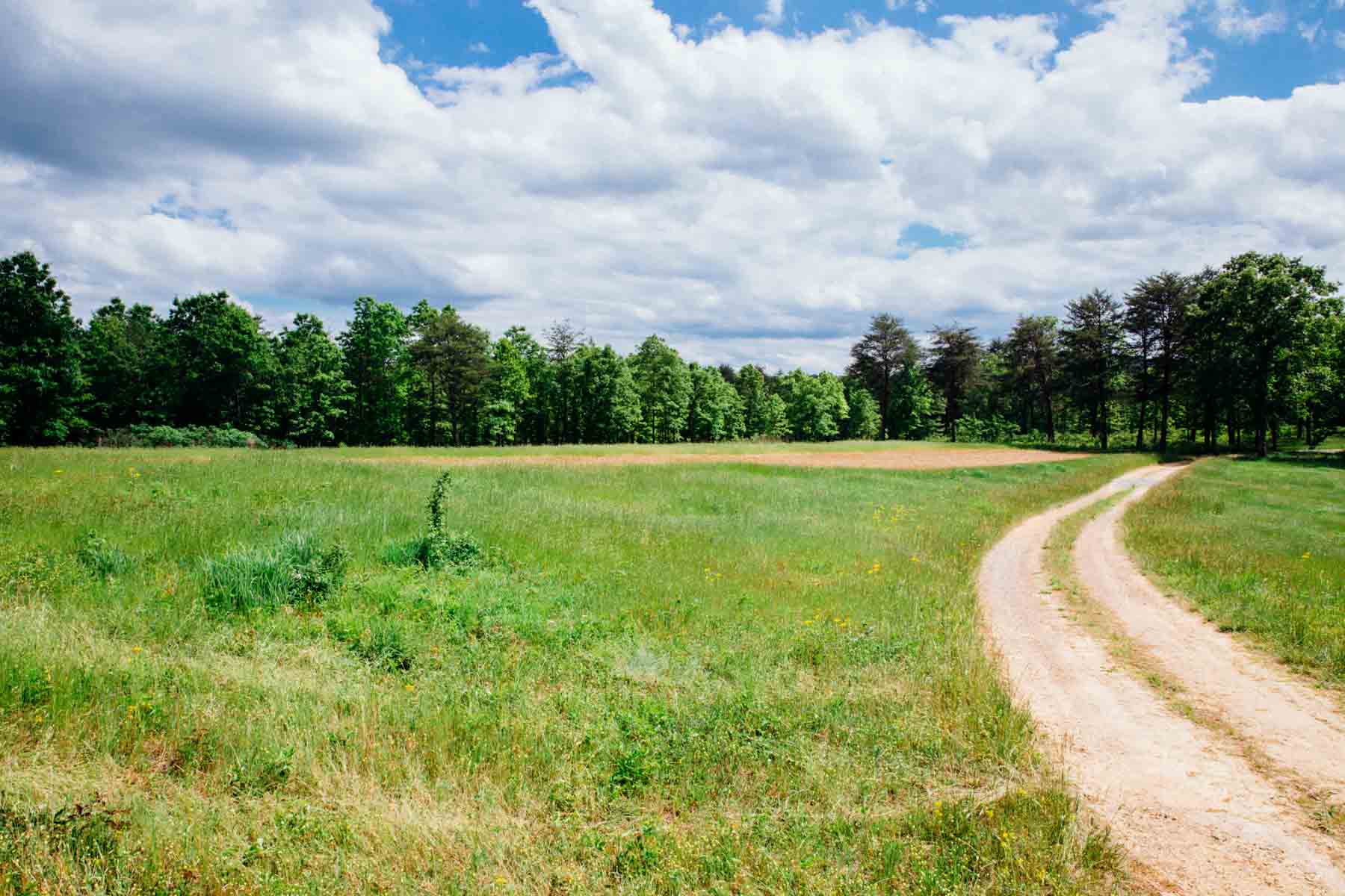 Meadow Creek property picture 71 of 83