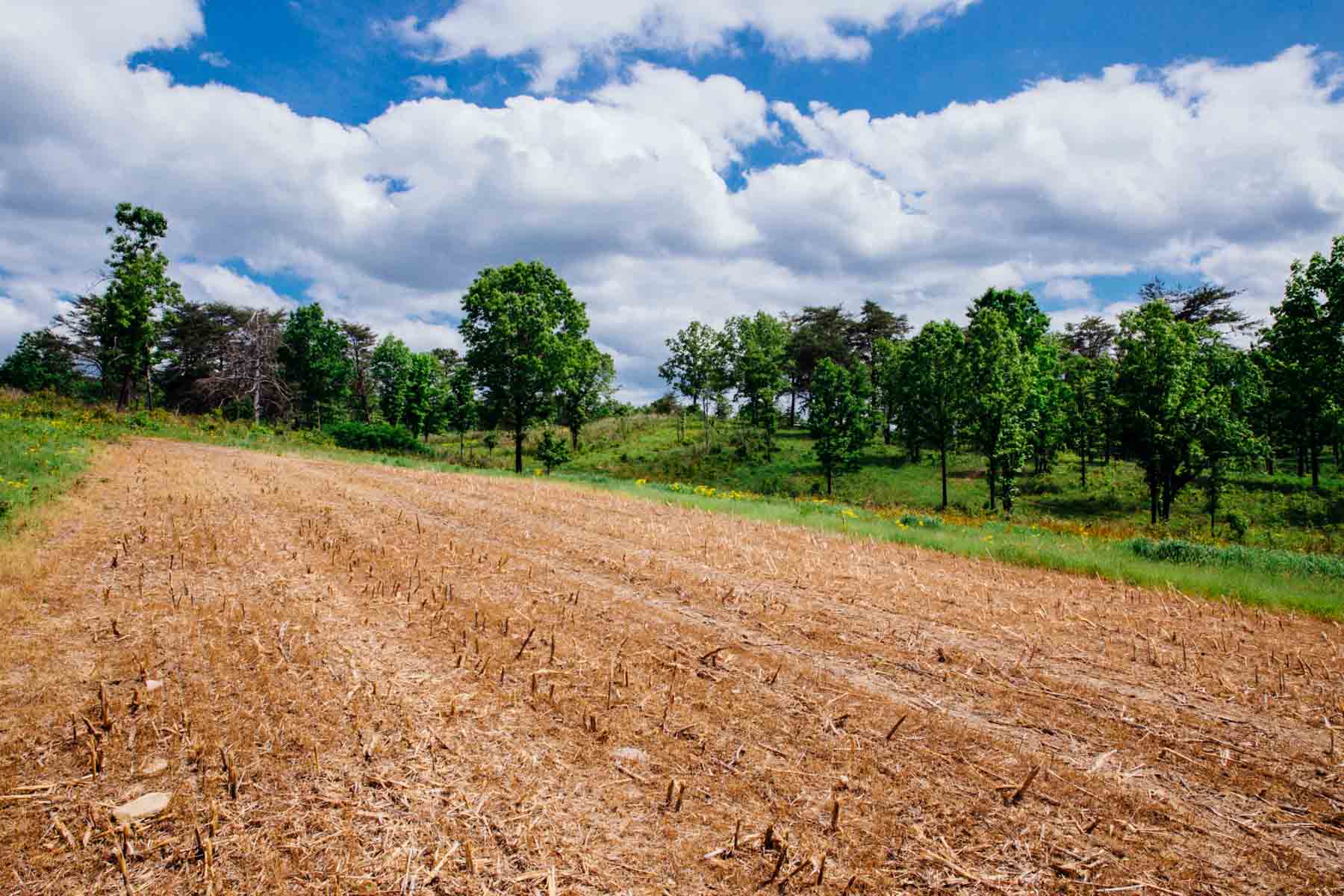 Meadow Creek property picture 72 of 83