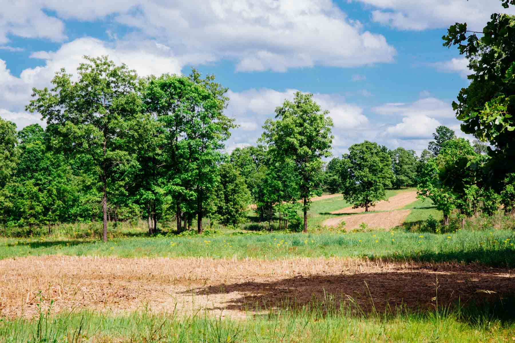 Meadow Creek property picture 74 of 83