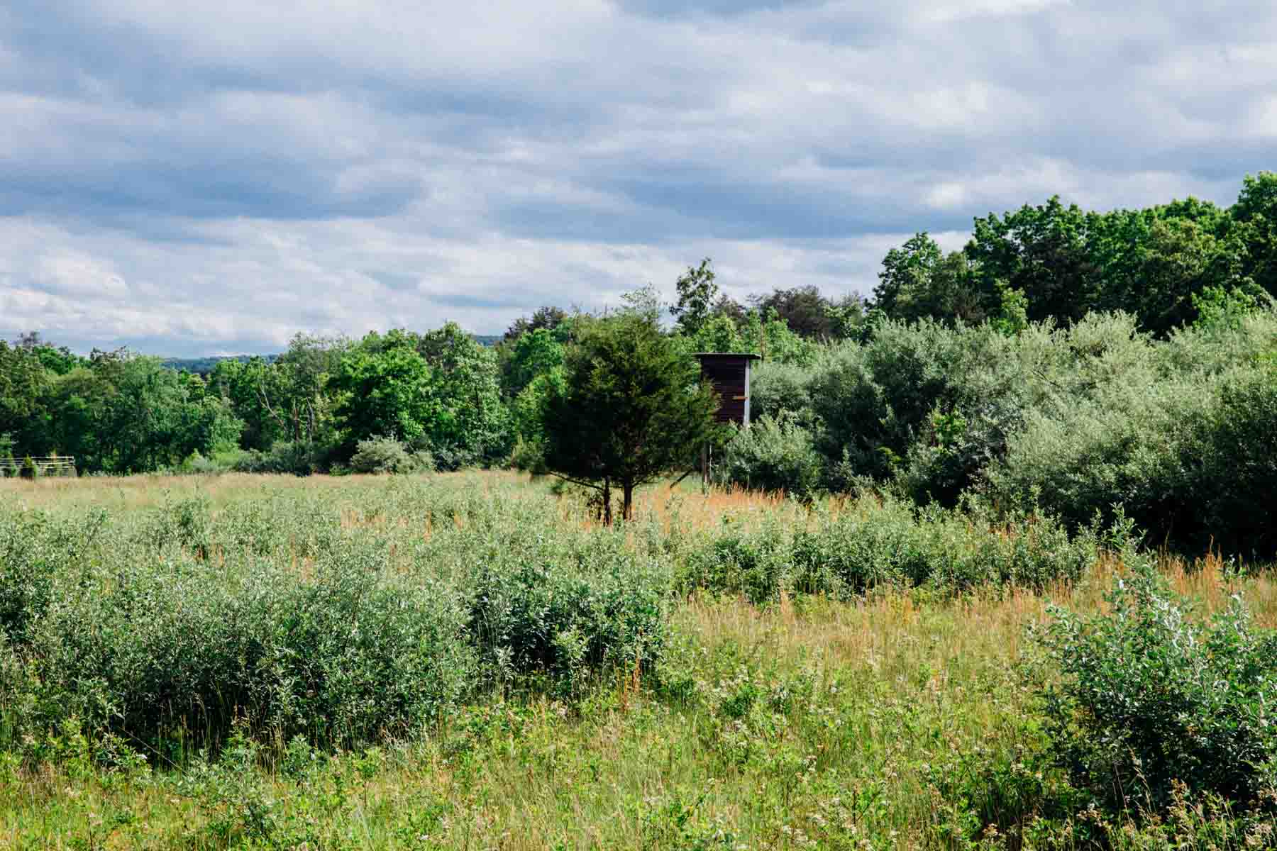 Meadow Creek property picture 75 of 83