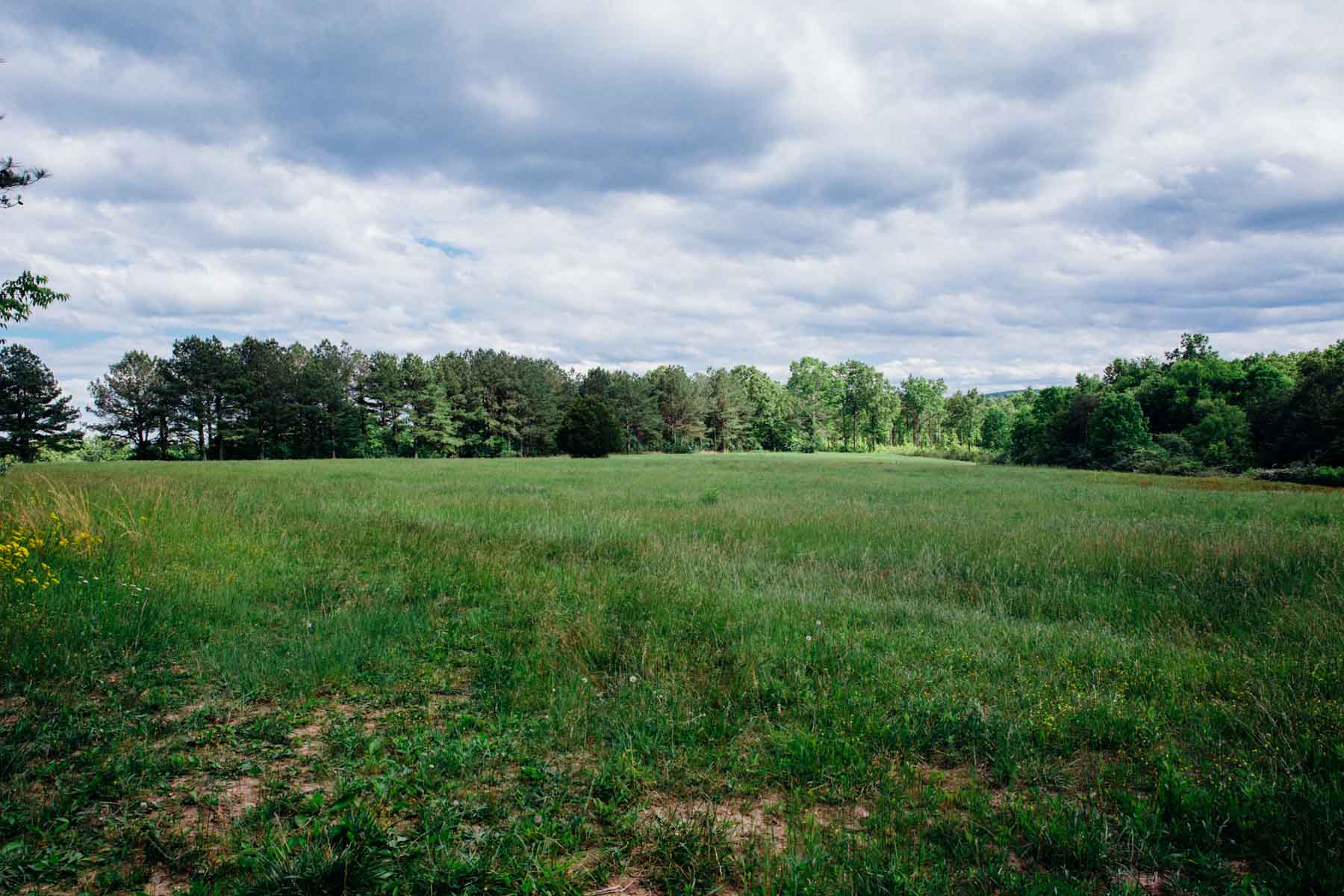 Meadow Creek property picture 76 of 83
