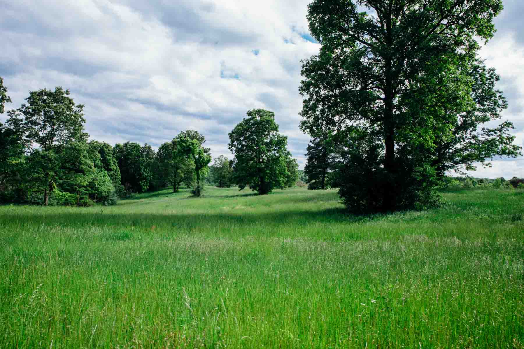 Meadow Creek property picture 77 of 83