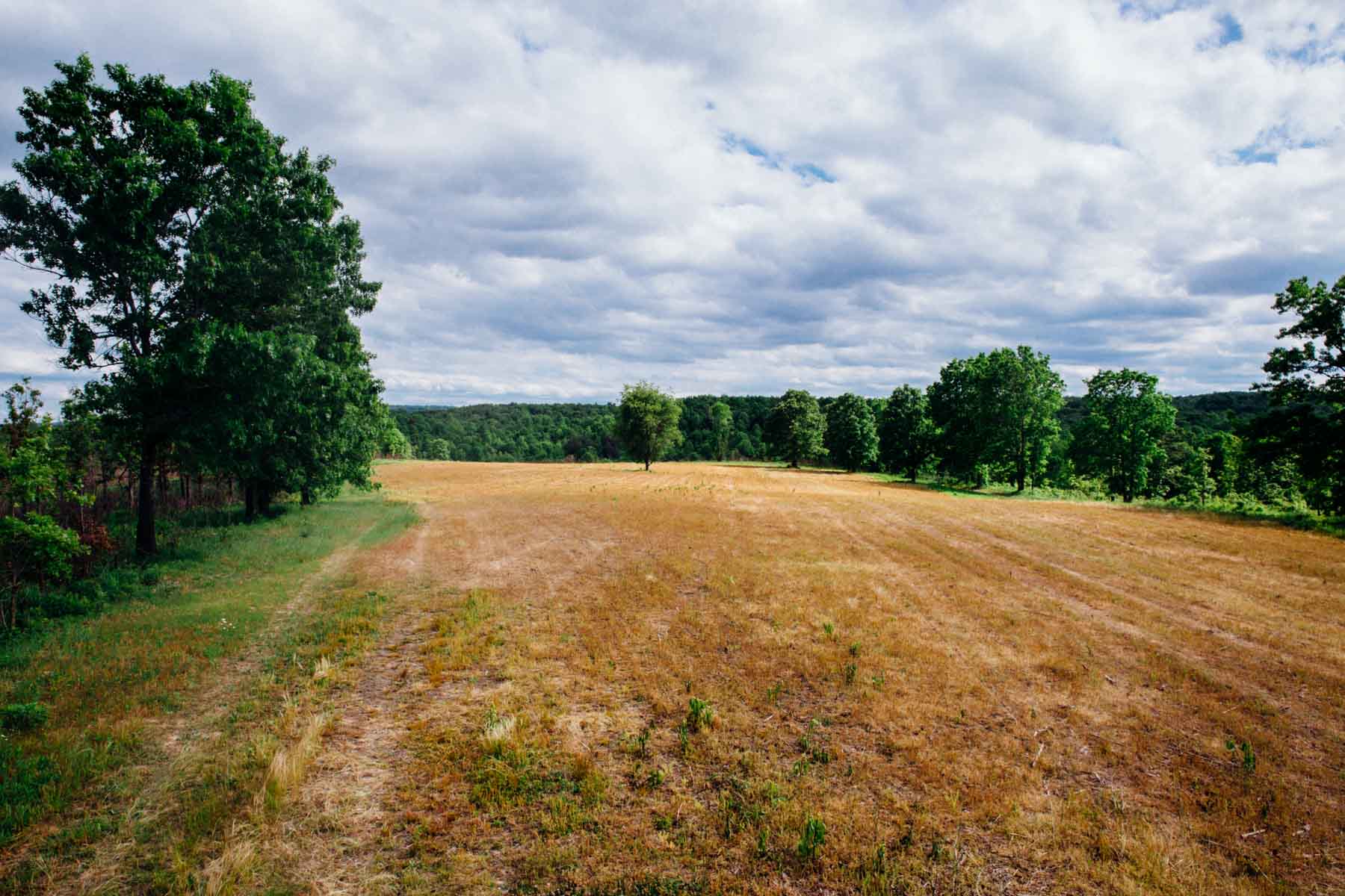 Meadow Creek property picture 78 of 83