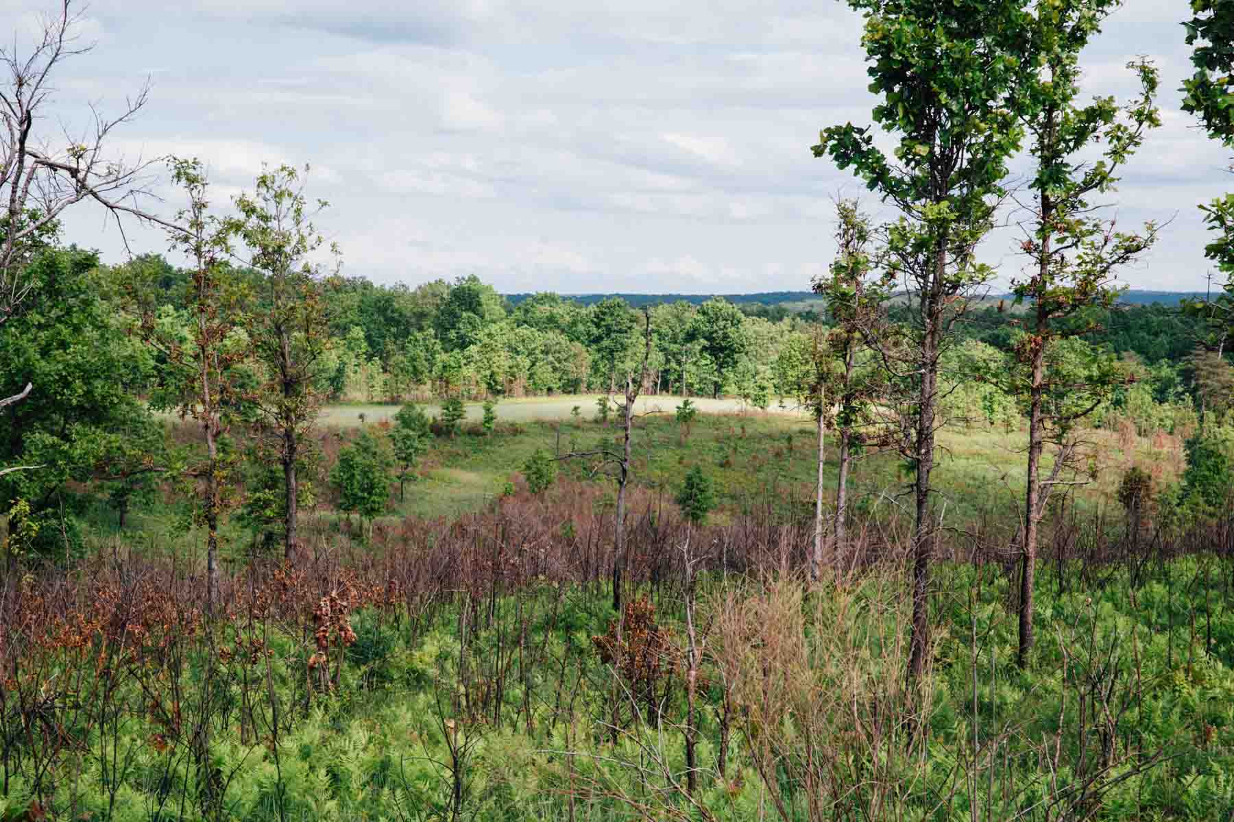 Meadow Creek property picture 79 of 83