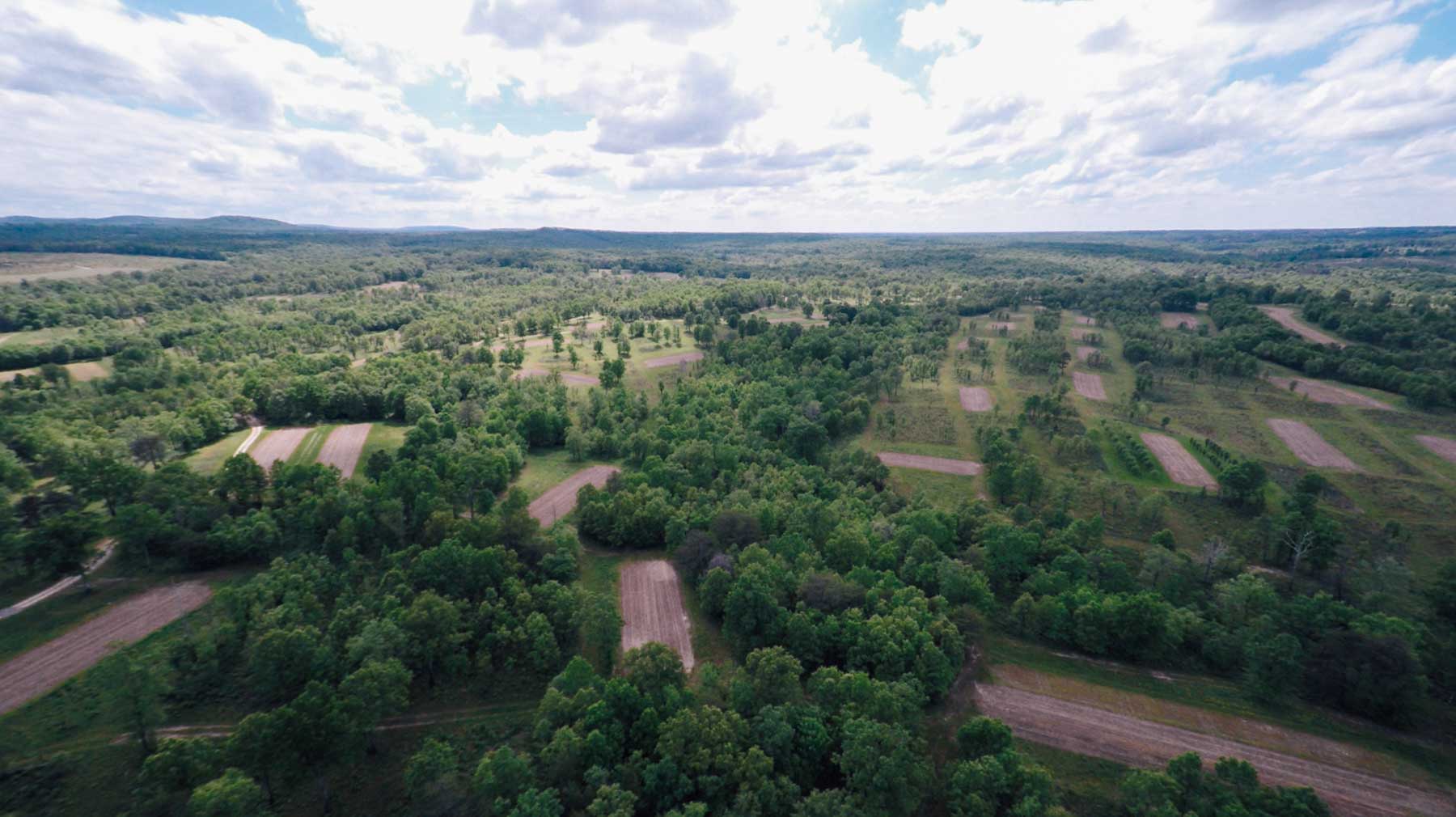 Meadow Creek property picture 80 of 83