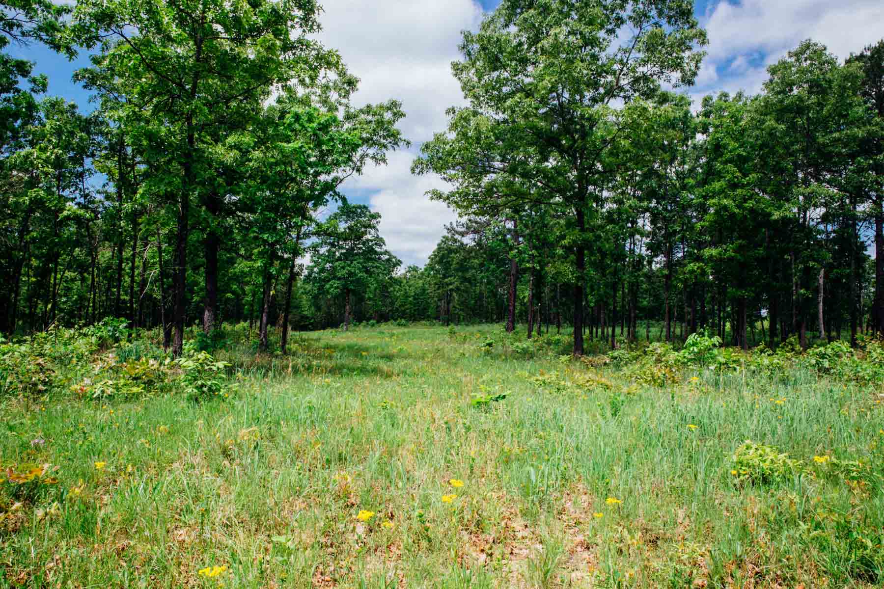 Meadow Creek property picture 65 of 83