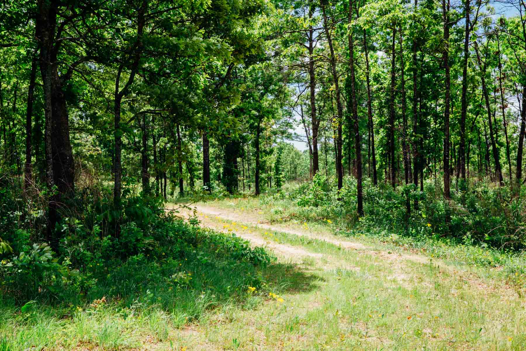 Meadow Creek property picture 67 of 83