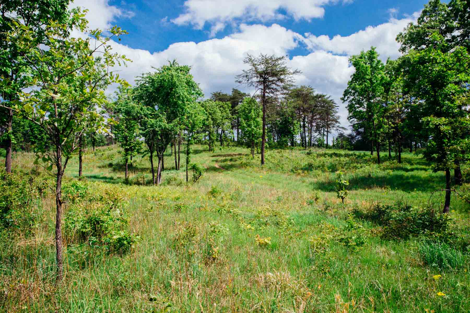 Meadow Creek property picture 73 of 83