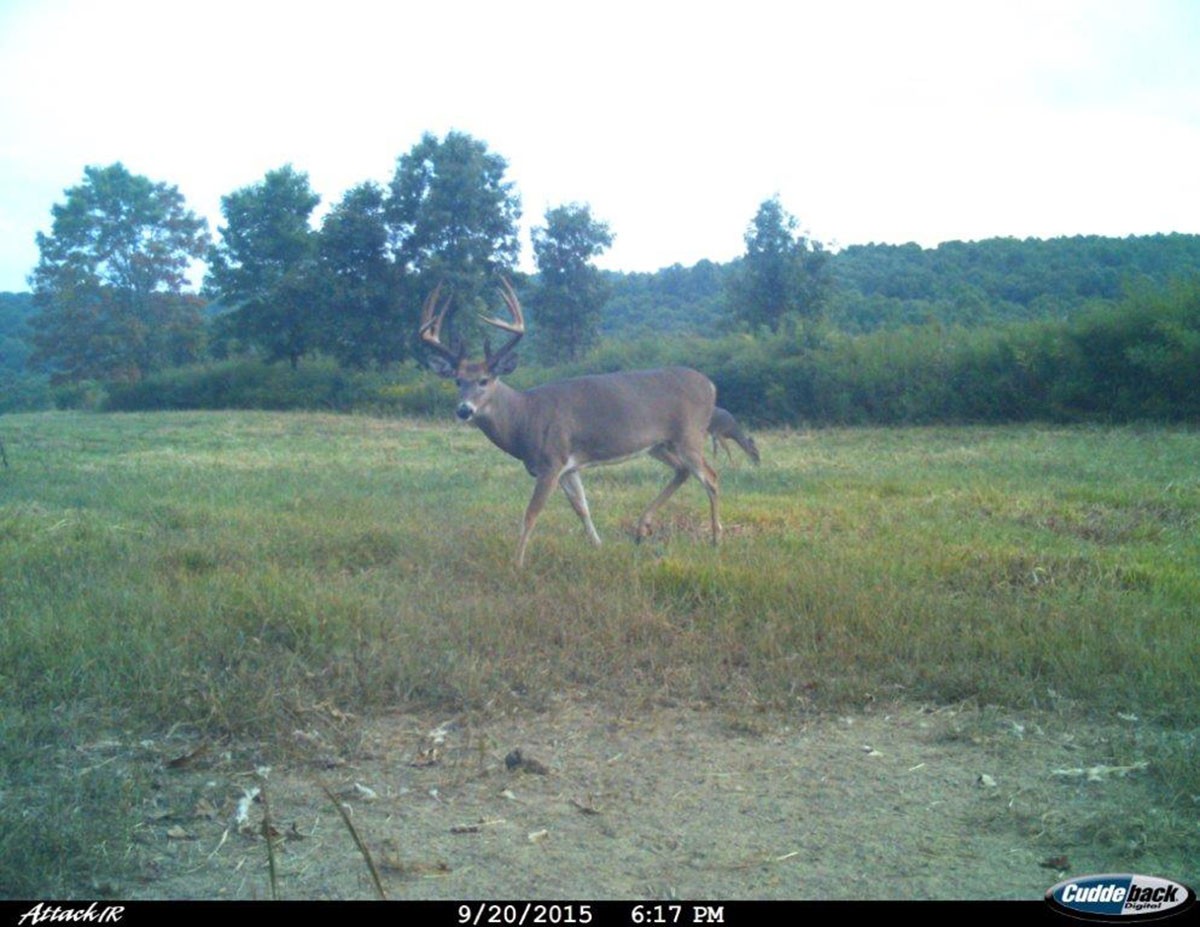 Meadow Creek property picture 55 of 83