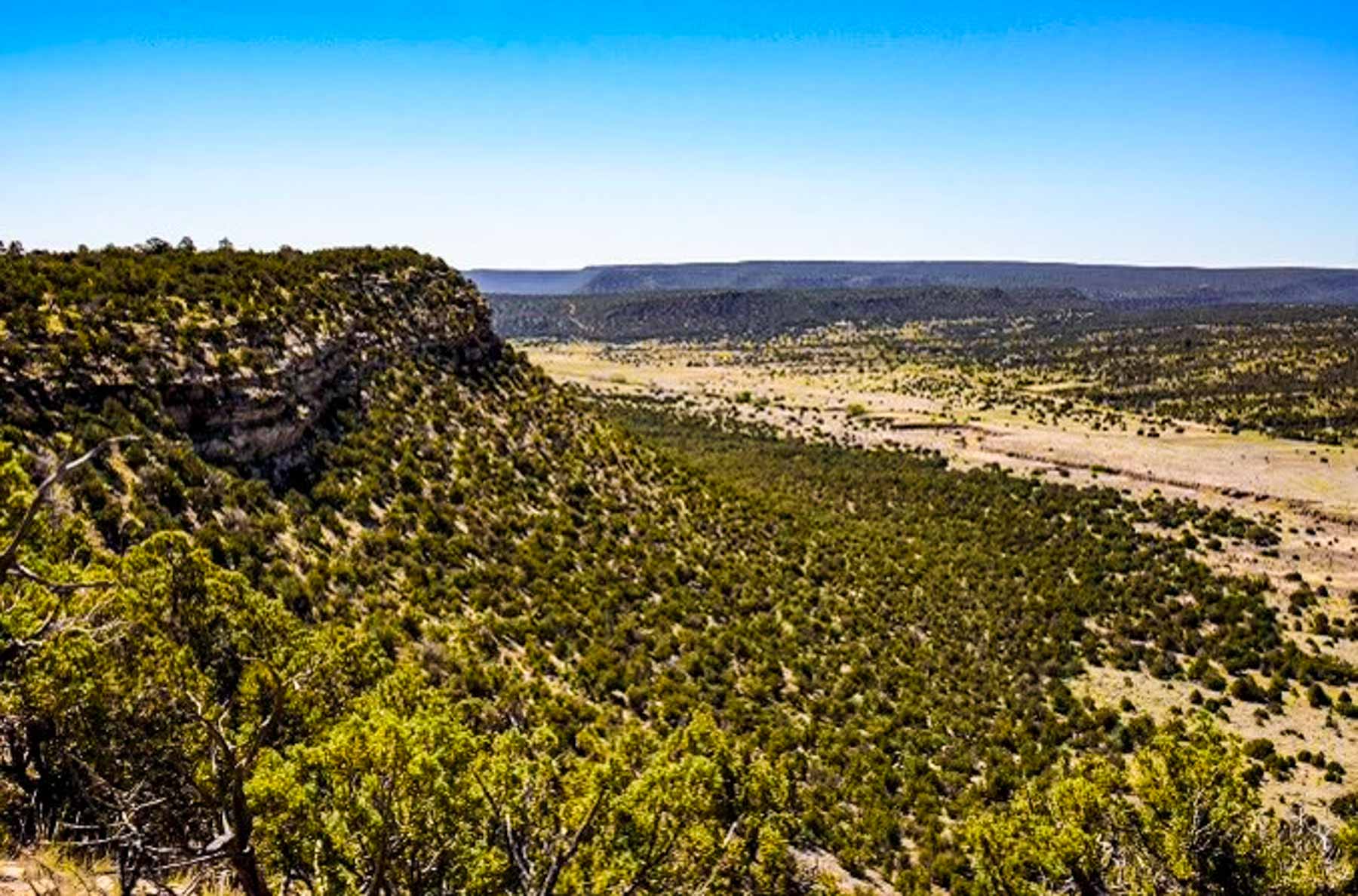 Canon Blanco Ranch property picture 120 of 120