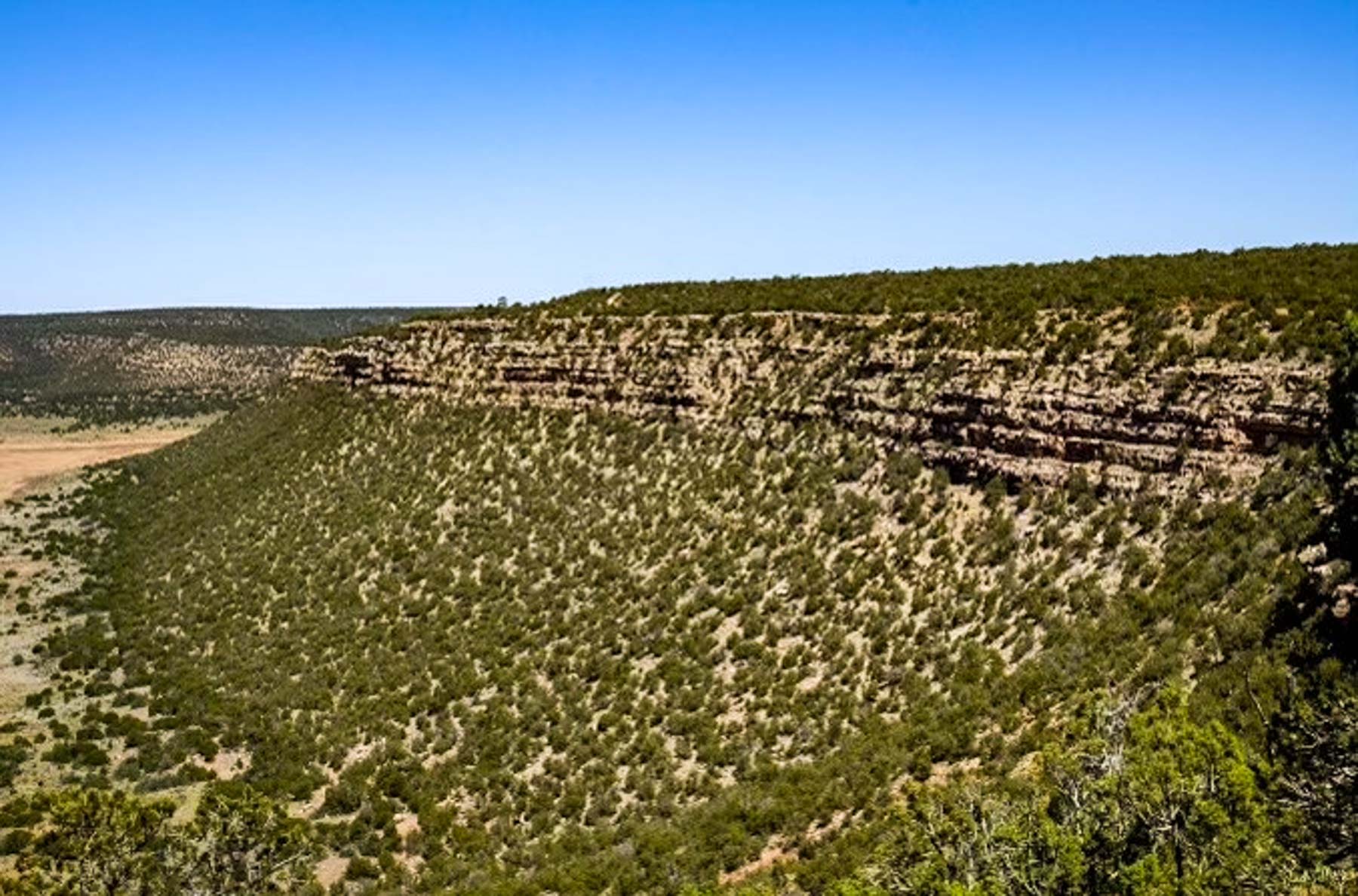 Canon Blanco Ranch property picture 117 of 120