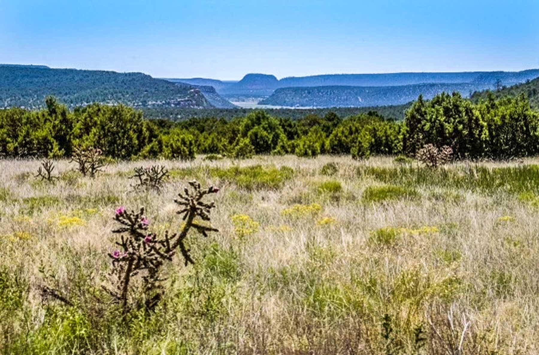 Canon Blanco Ranch property picture 115 of 120