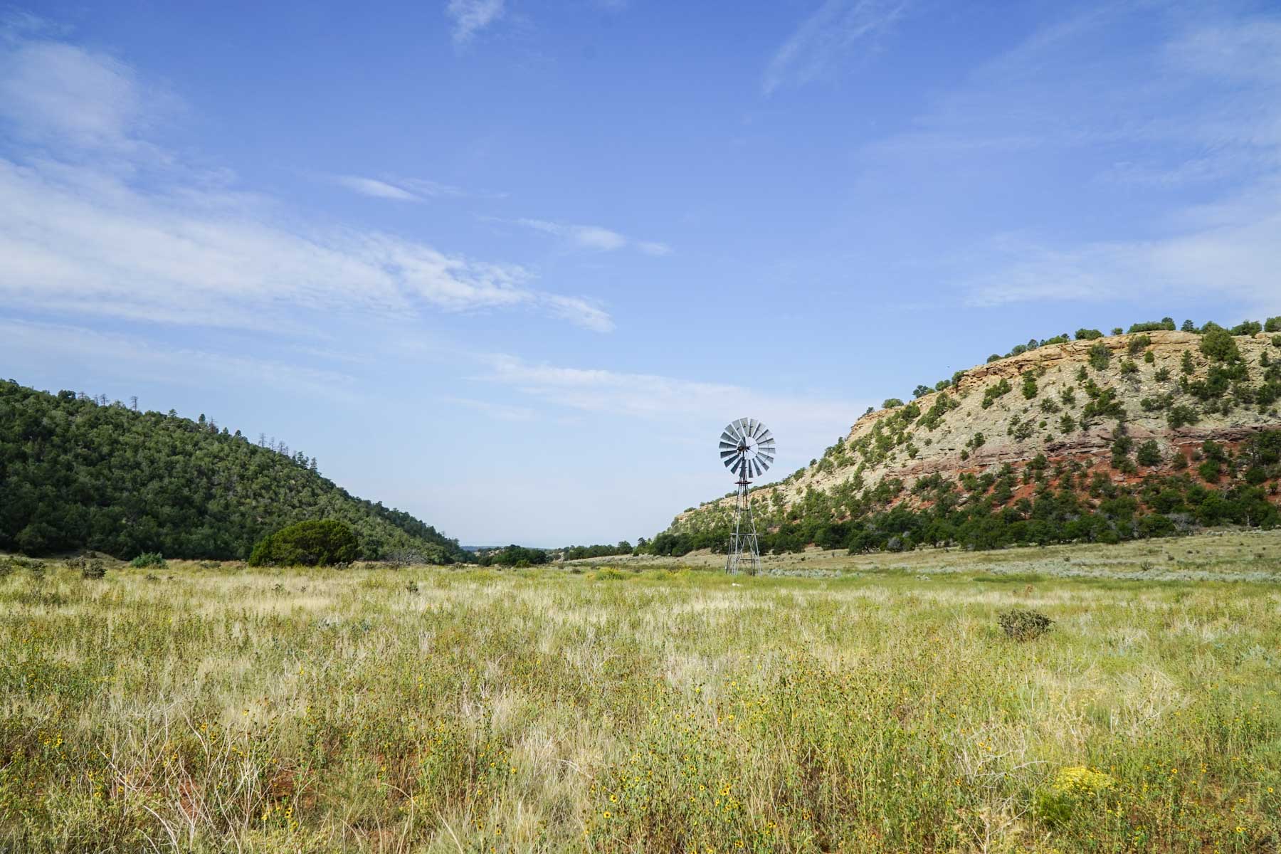 Canon Blanco Ranch property picture 59 of 120