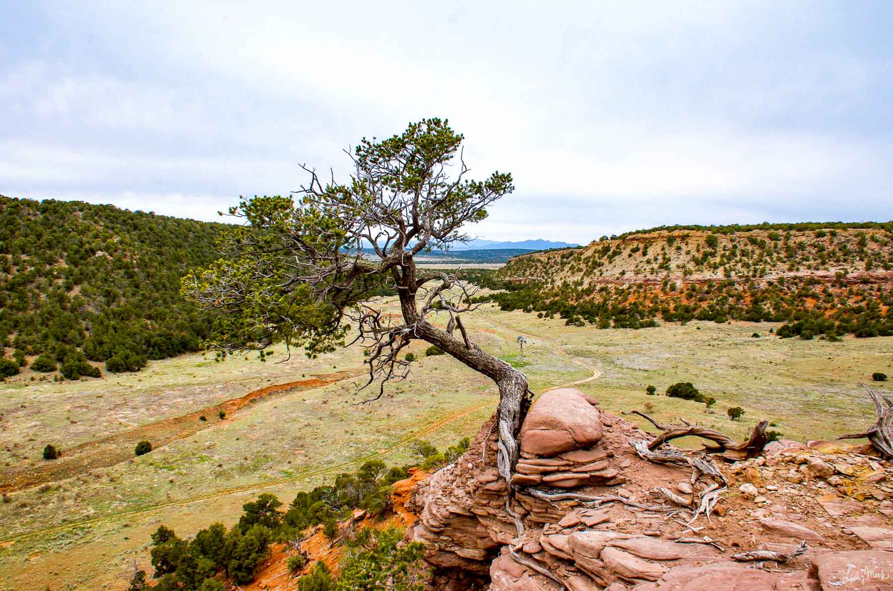 Canon Blanco Ranch Sold New Mexico Hall and Hall