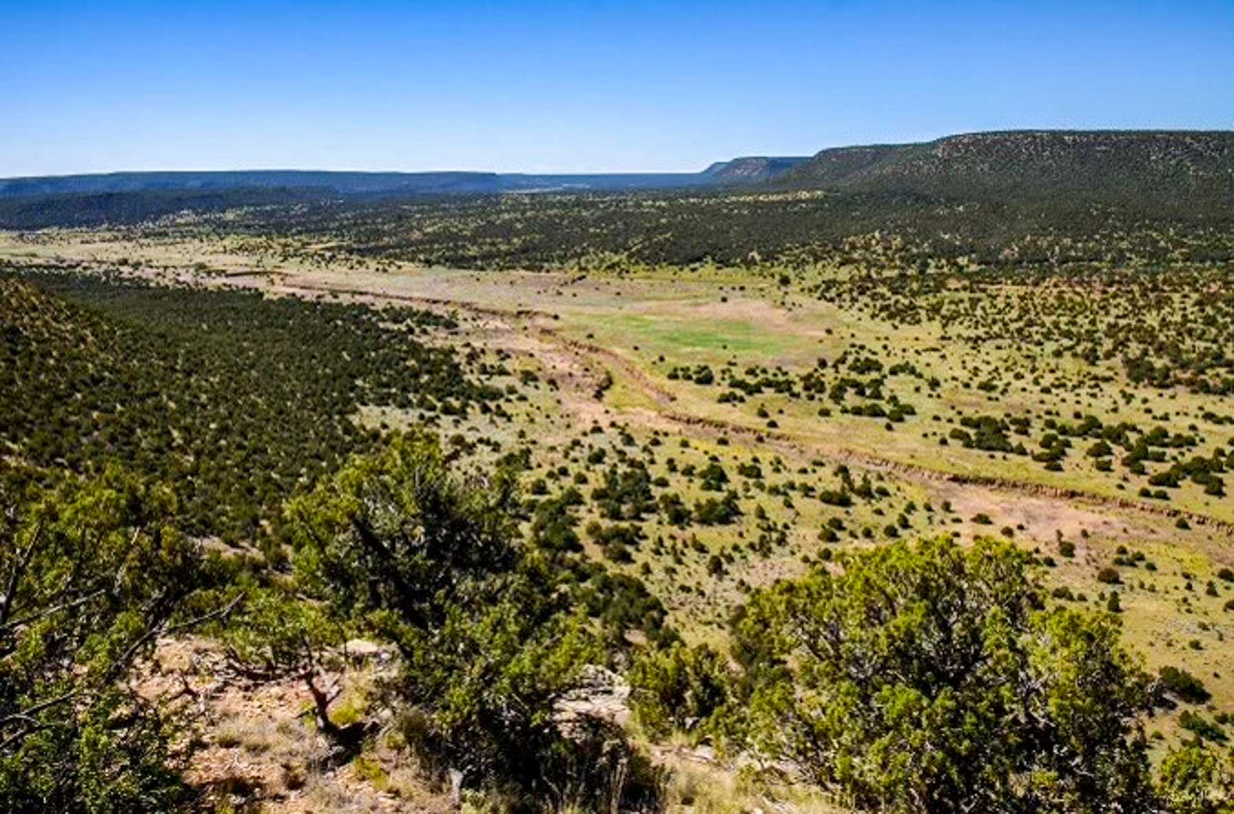 Canon Blanco Ranch property picture 116 of 120