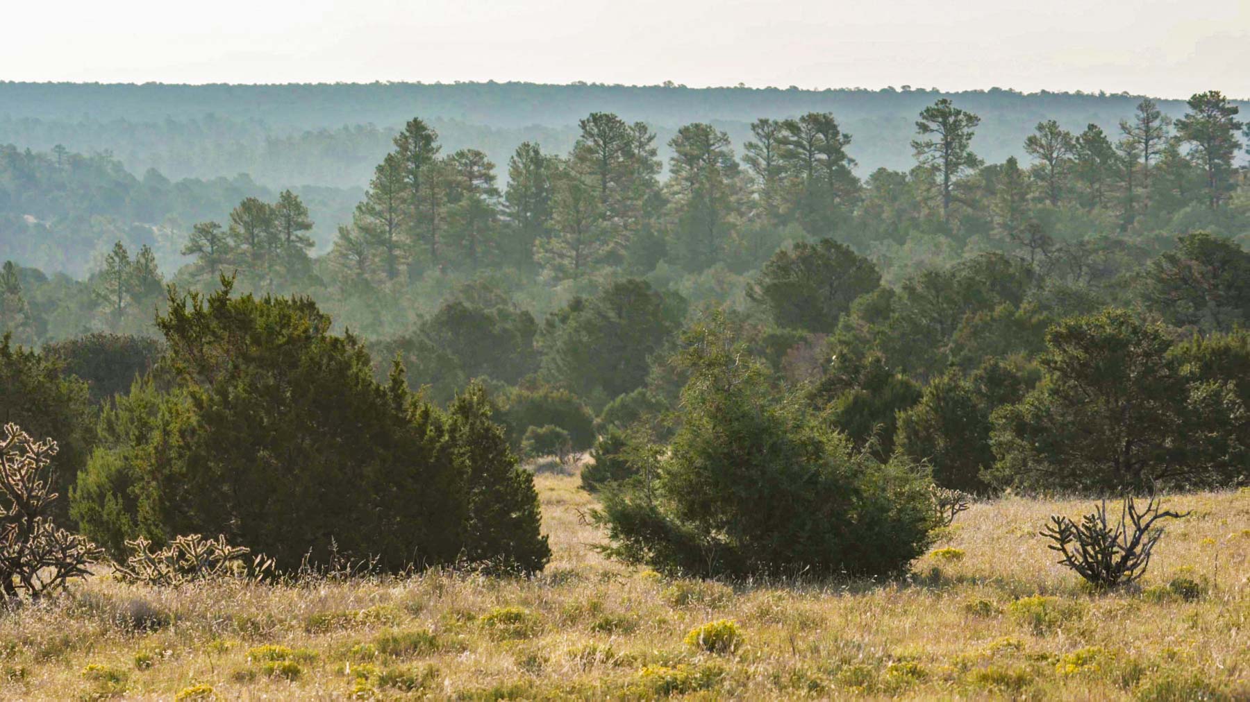 Canon Blanco Ranch property picture 81 of 120