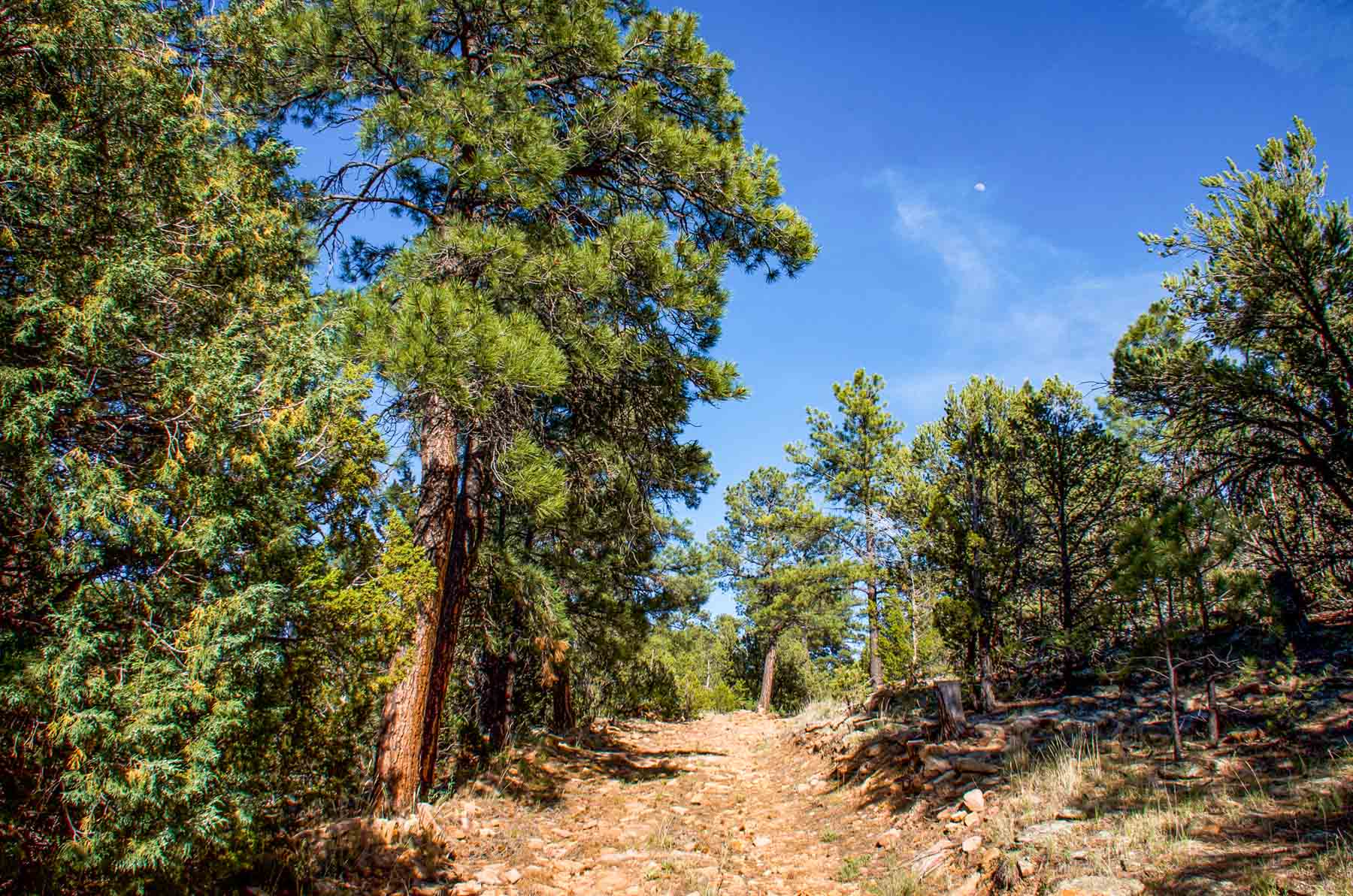 Canon Blanco Ranch property picture 44 of 120