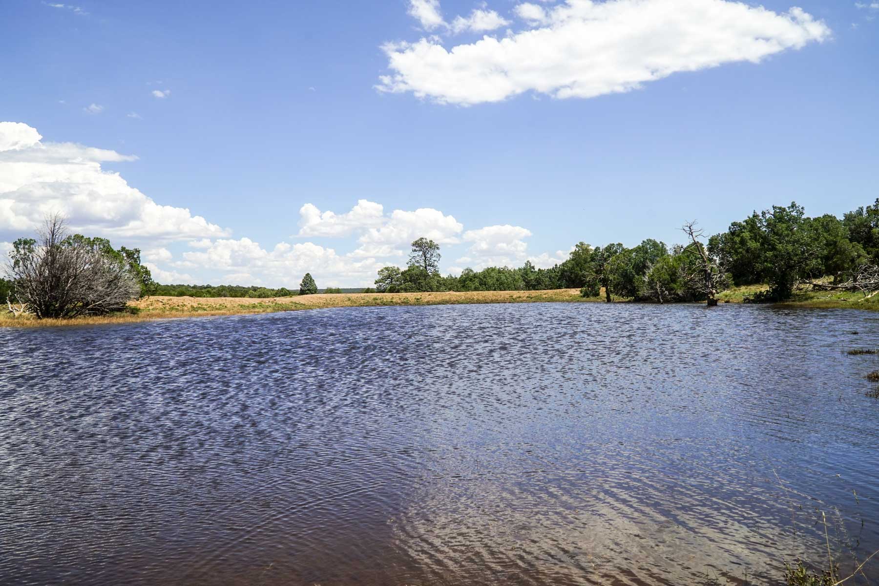 Canon Blanco Ranch Sold New Mexico Hall and Hall