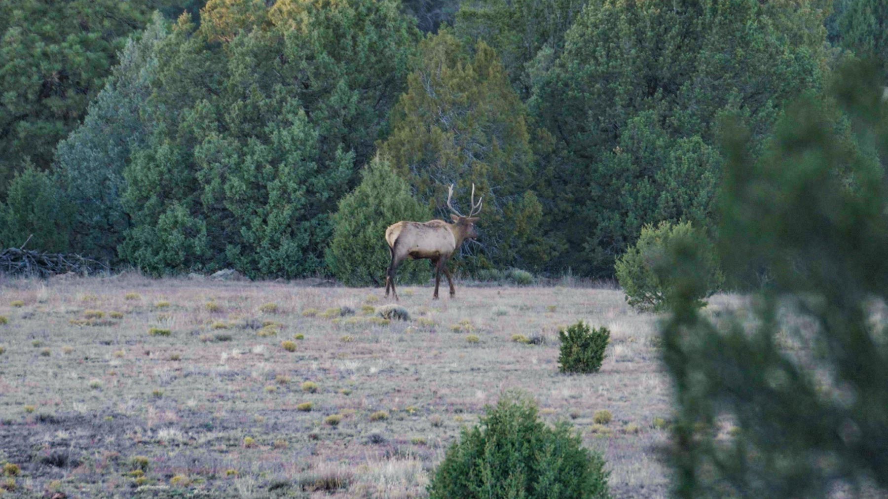 Canon Blanco Ranch property picture 85 of 120