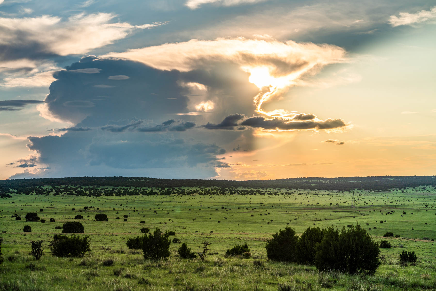 Canon Blanco Ranch Sold New Mexico Hall and Hall