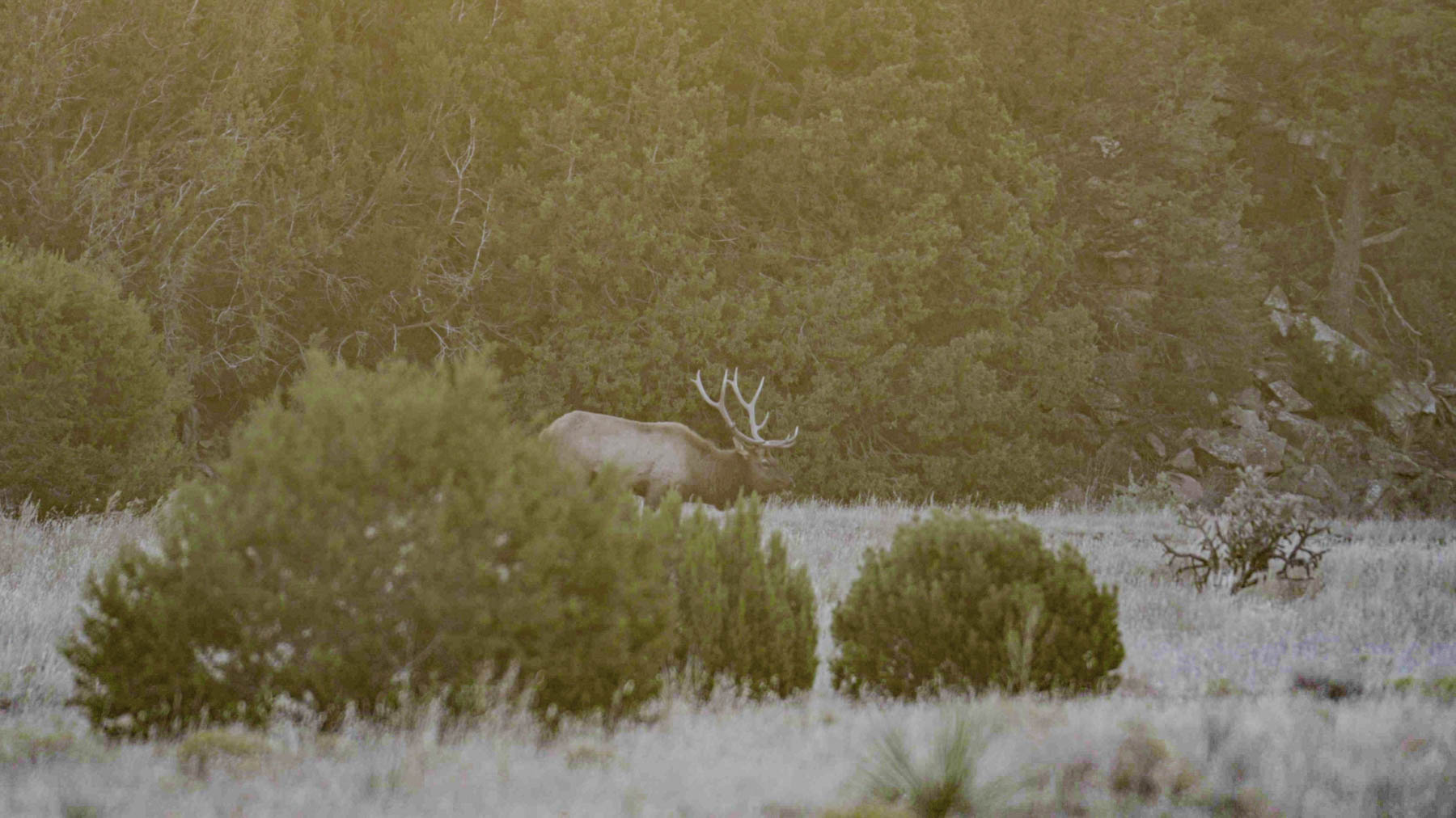 Canon Blanco Ranch Sold New Mexico Hall and Hall