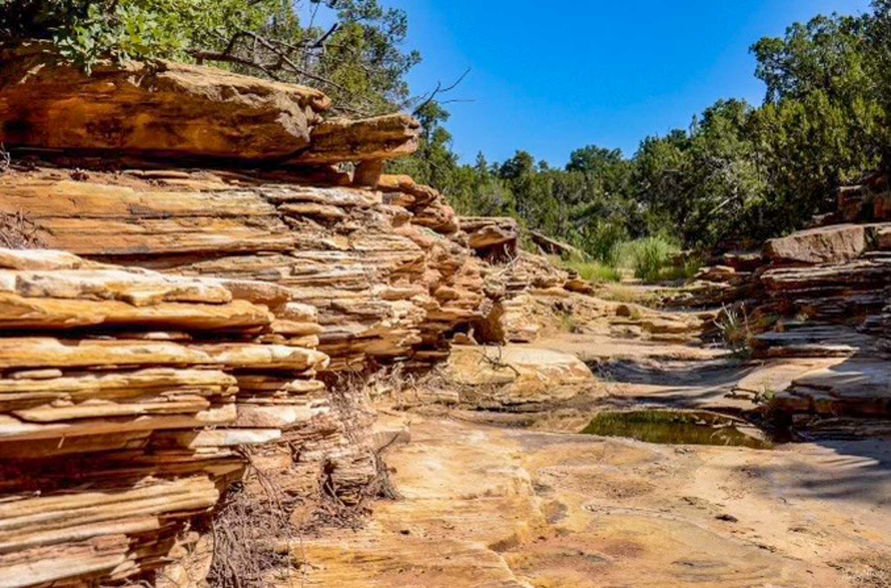 Canon Blanco Ranch property picture 112 of 120