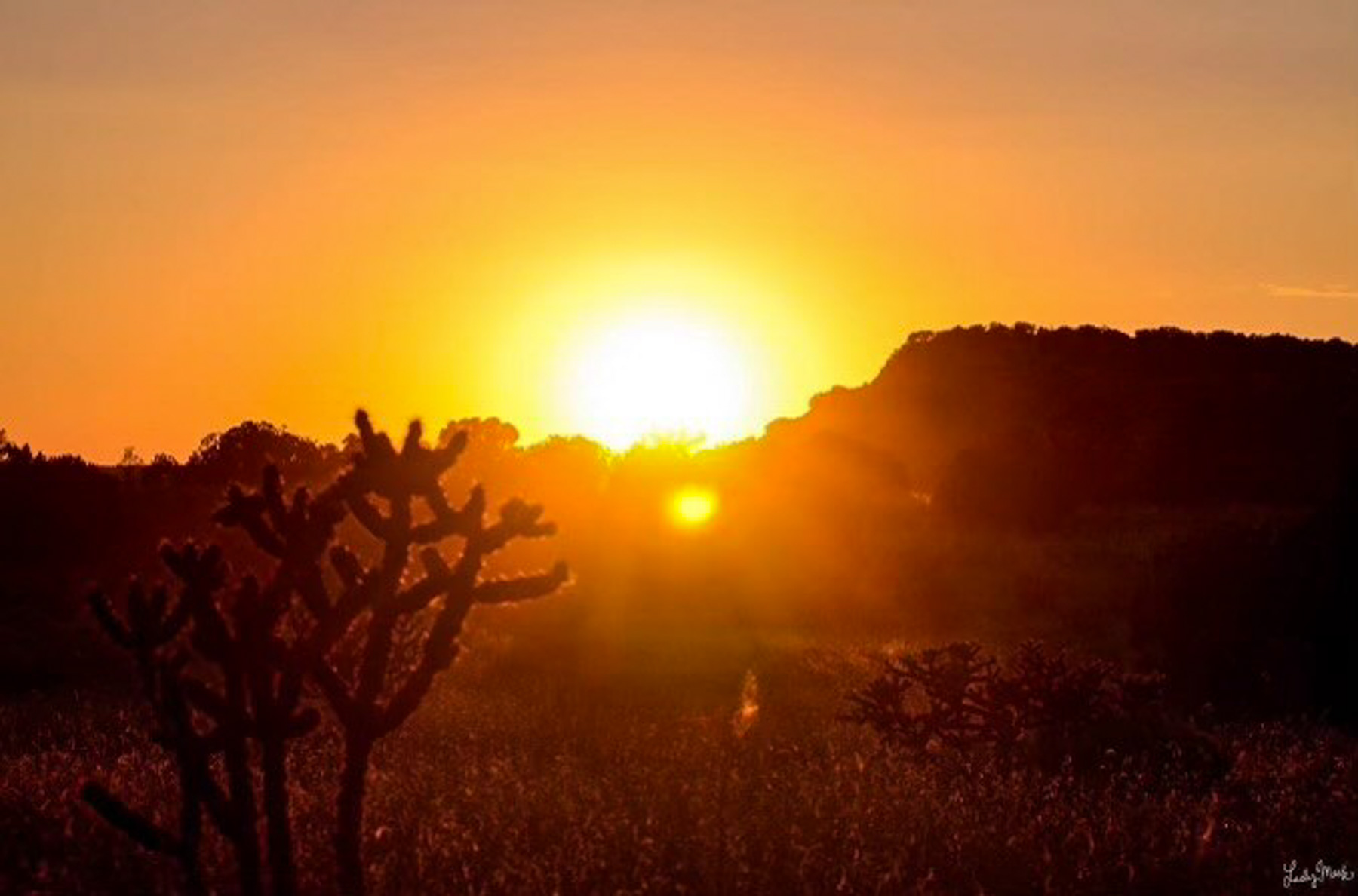 Canon Blanco Ranch property picture 104 of 120