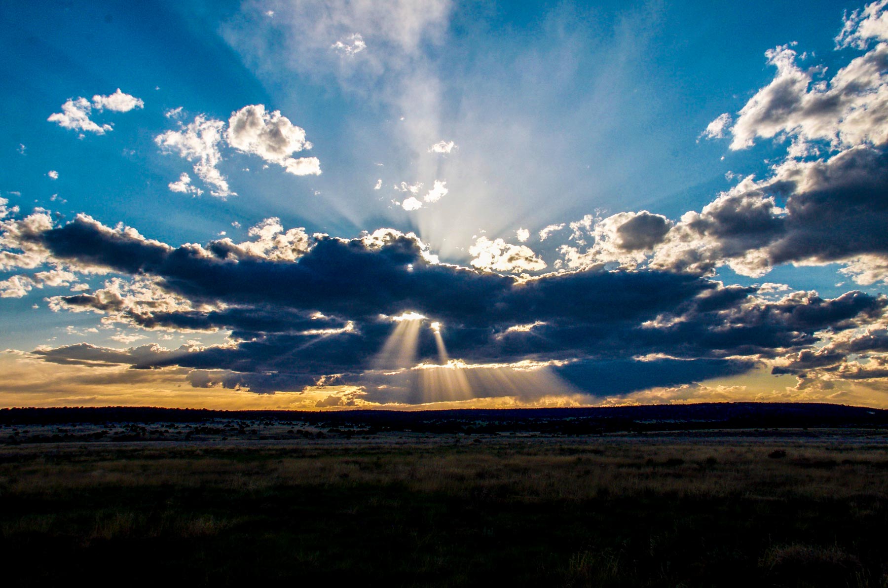 Canon Blanco Ranch property picture 38 of 120