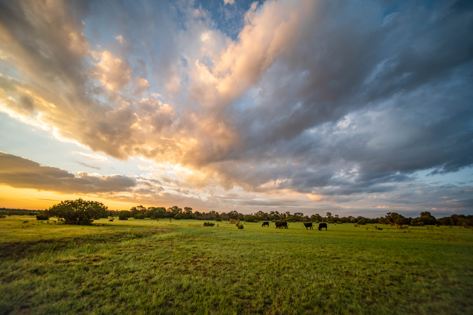 Canon Blanco Ranch property picture 5 of 120