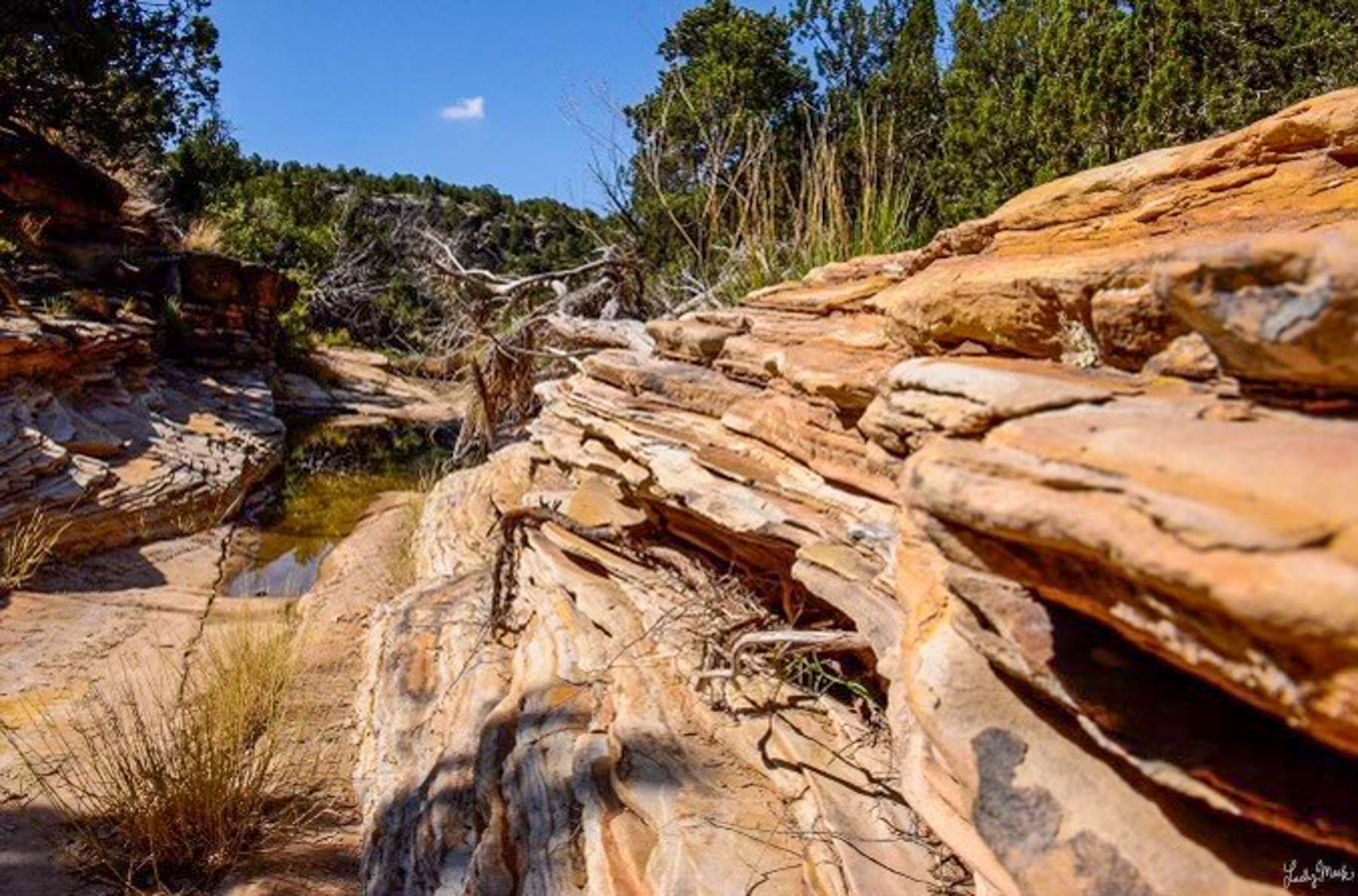 Canon Blanco Ranch property picture 108 of 120