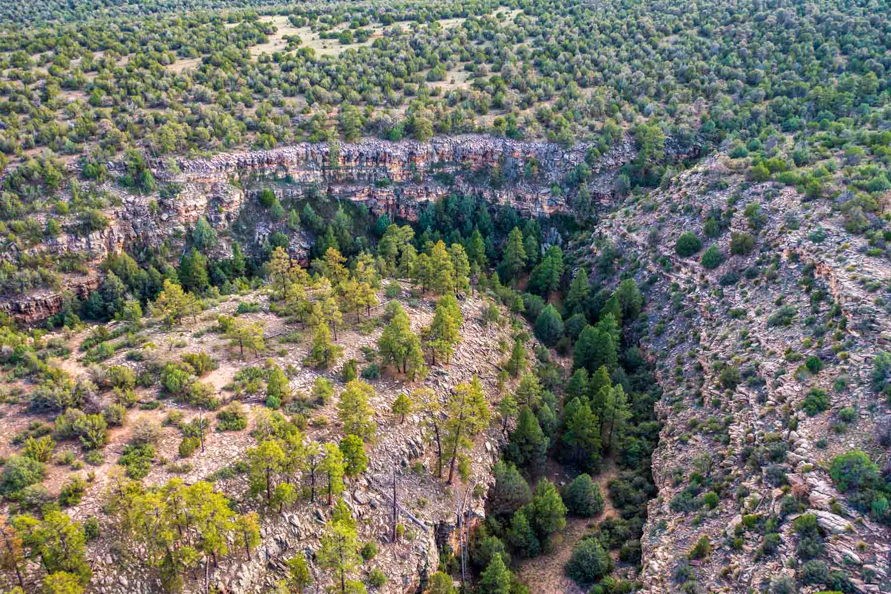 Canon Blanco Ranch property picture 54 of 120