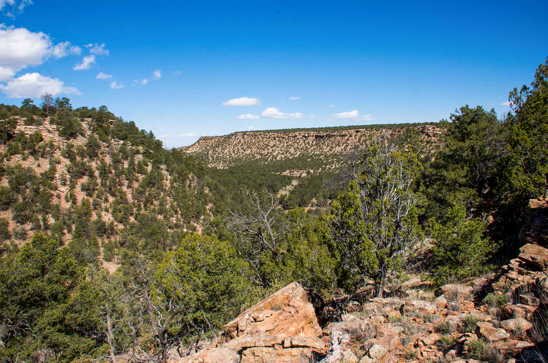 Canon Blanco Ranch Sold New Mexico Hall and Hall