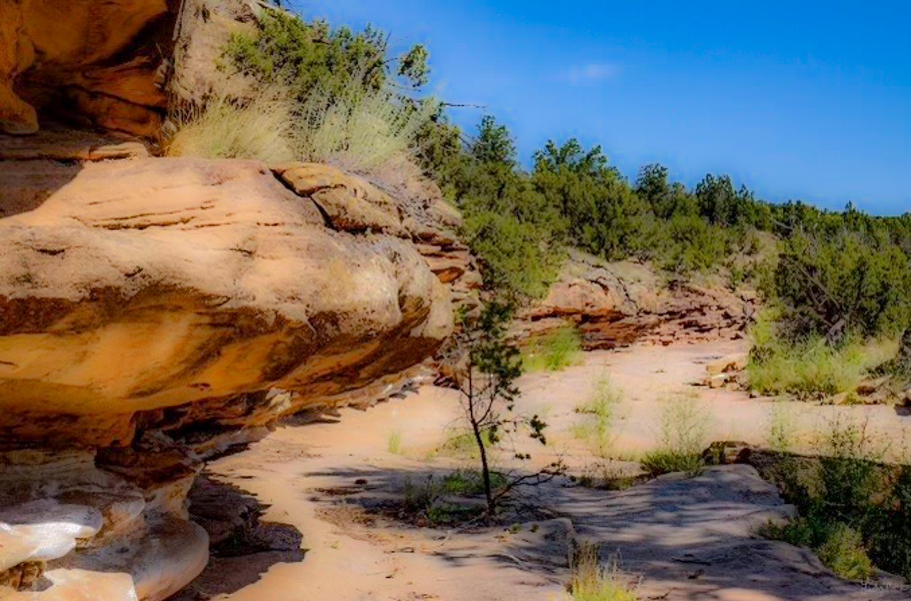 Canon Blanco Ranch property picture 109 of 120