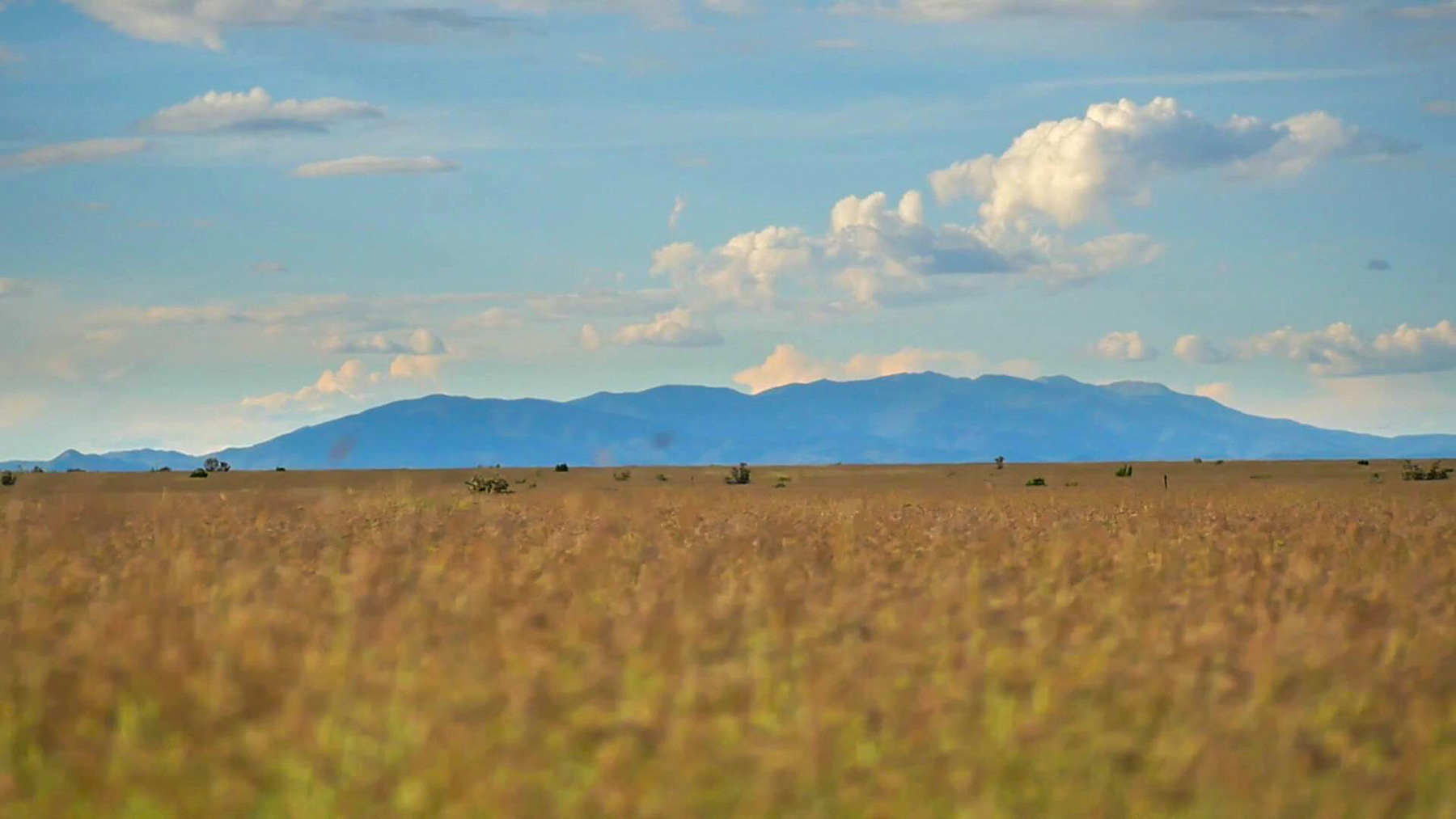 Canon Blanco Ranch property picture 52 of 120