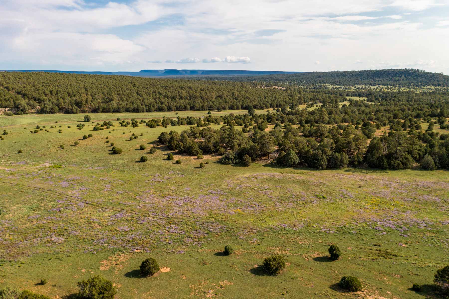 Canon Blanco Ranch property picture 51 of 120