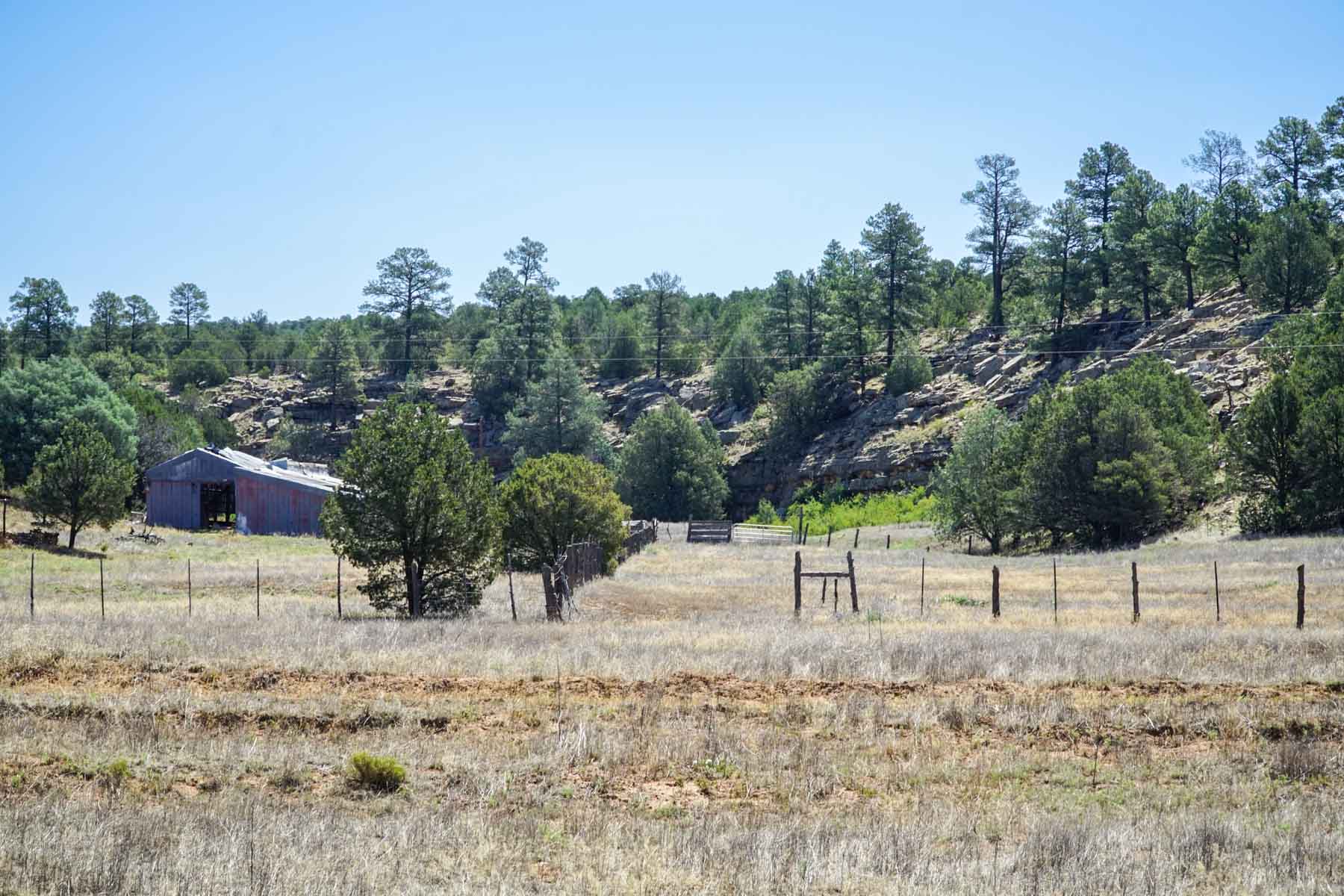 Canon Blanco Ranch property picture 64 of 120