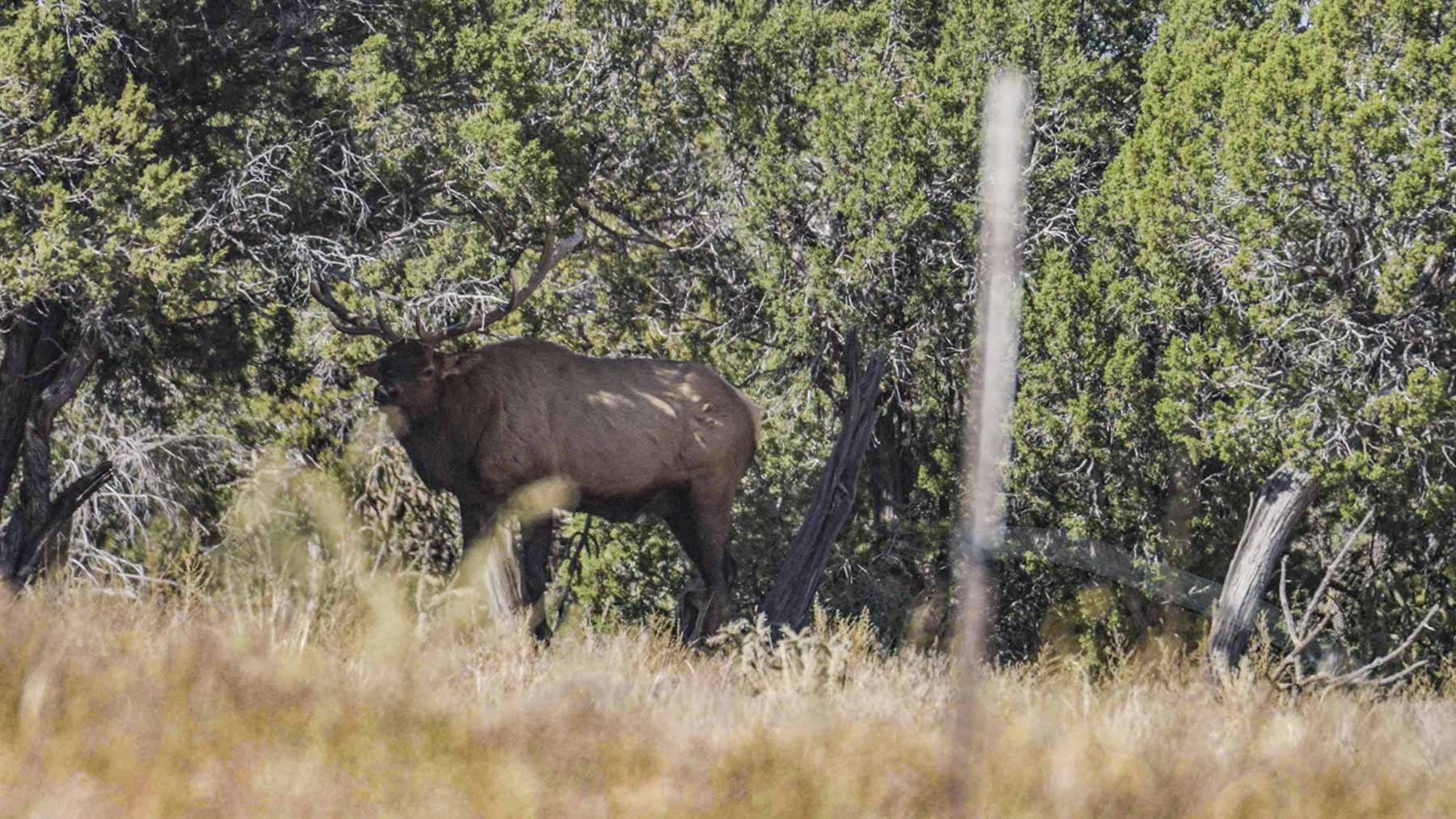 Canon Blanco Ranch property picture 42 of 120