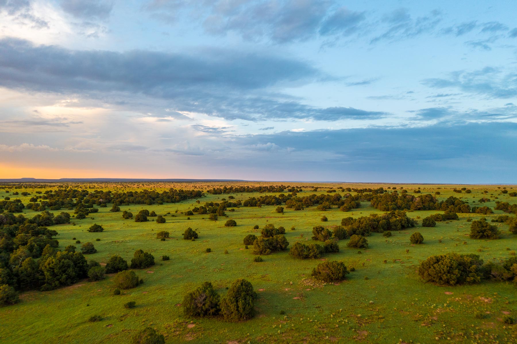 Canon Blanco Ranch Sold New Mexico Hall and Hall