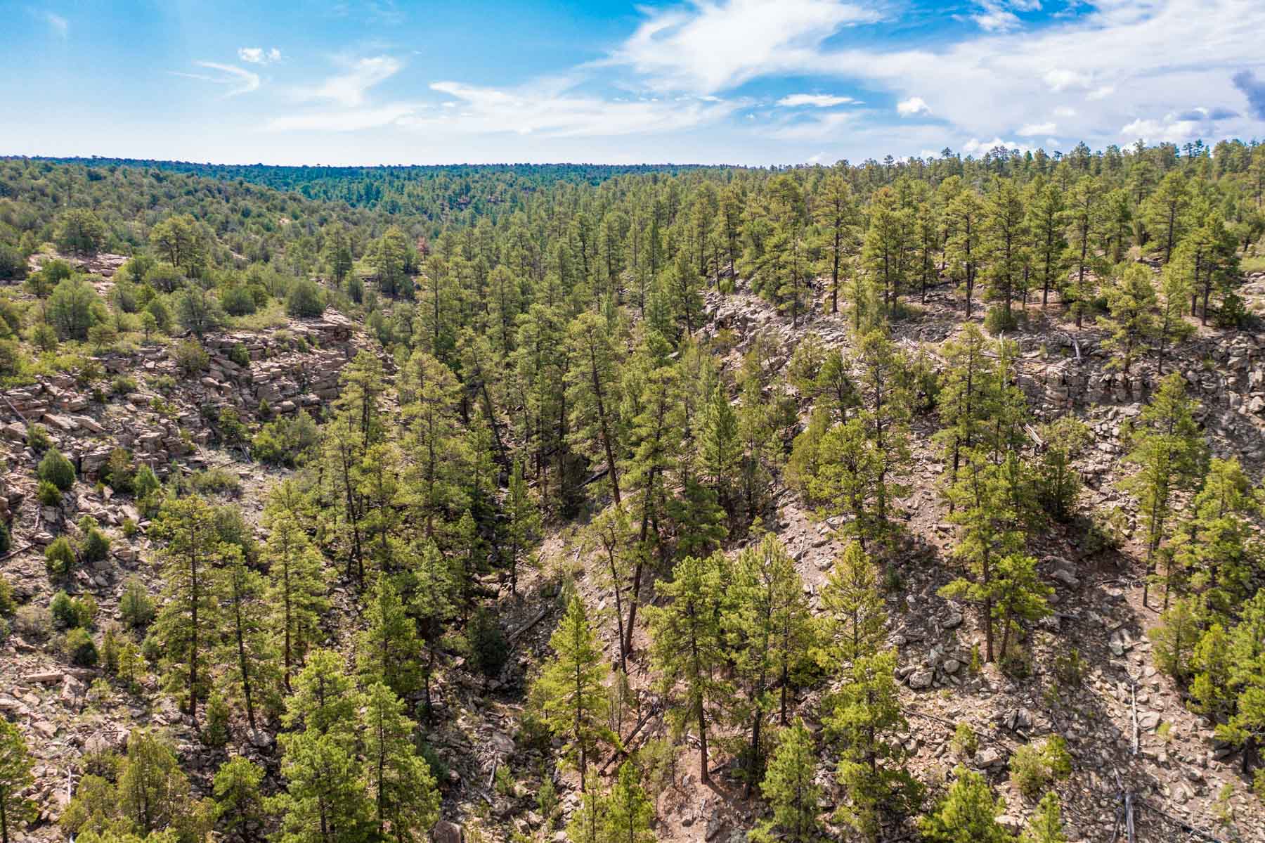 Canon Blanco Ranch property picture 20 of 120