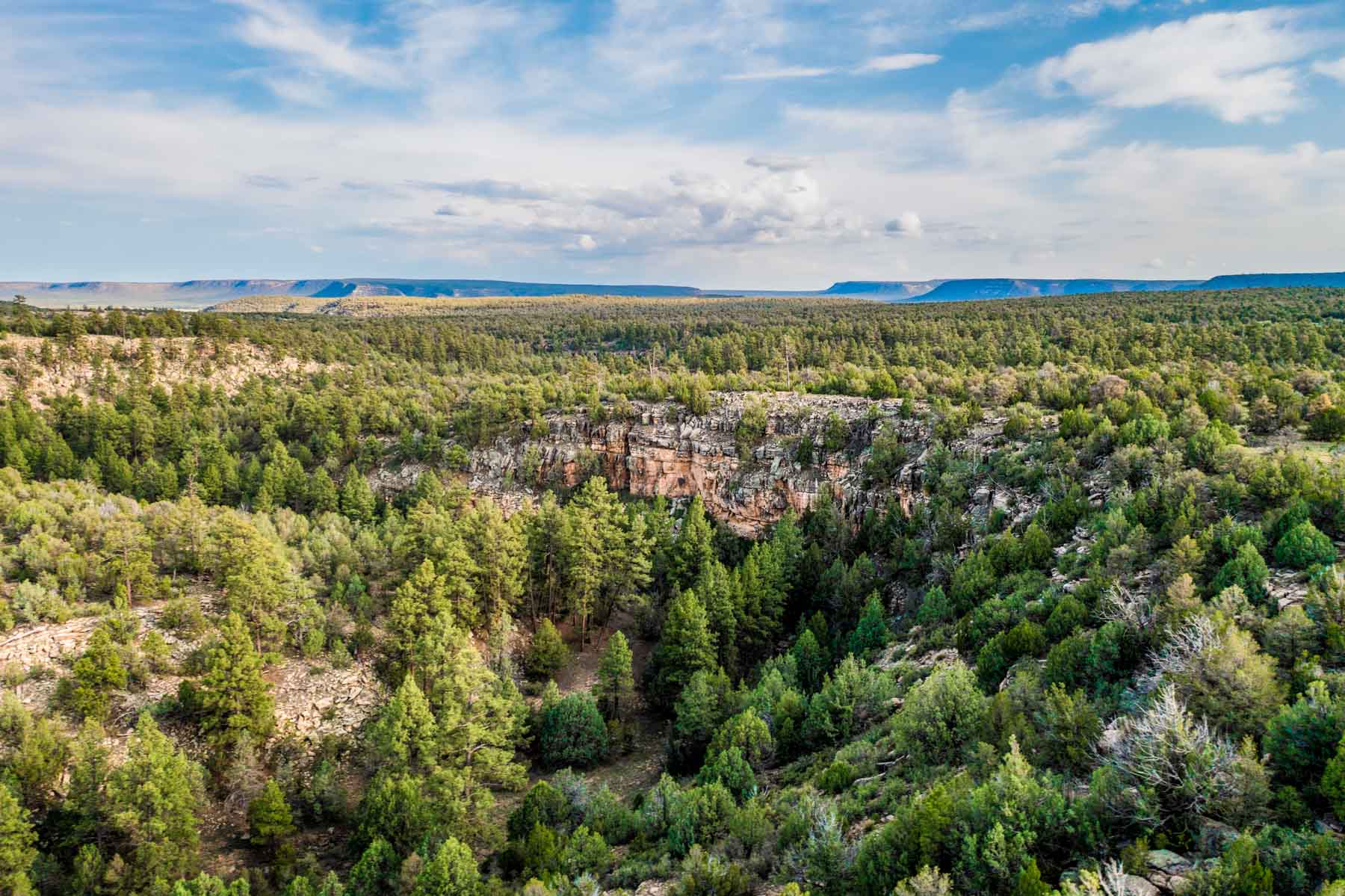 Canon Blanco Ranch property picture 53 of 120