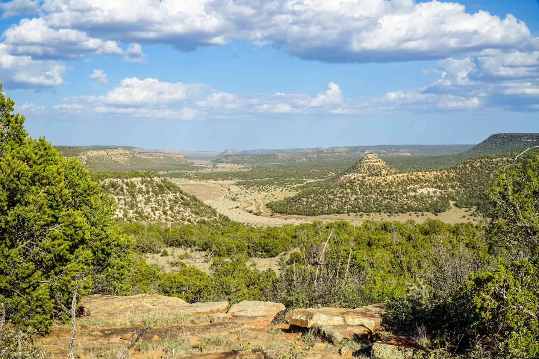Canon Blanco Ranch property picture 71 of 120