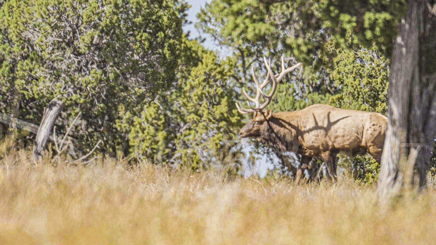 Canon Blanco Ranch Sold New Mexico Hall and Hall