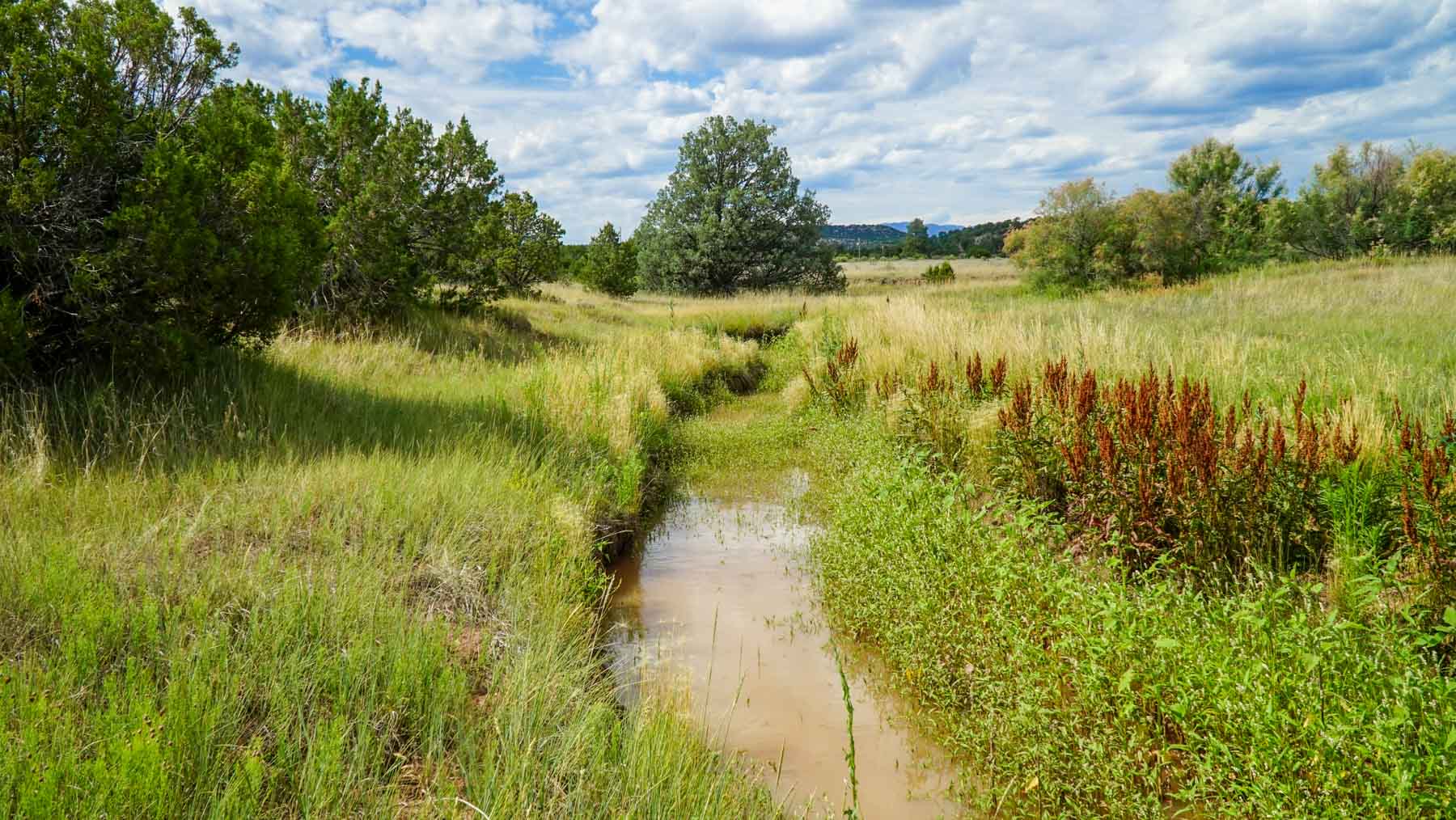Canon Blanco Ranch property picture 60 of 120
