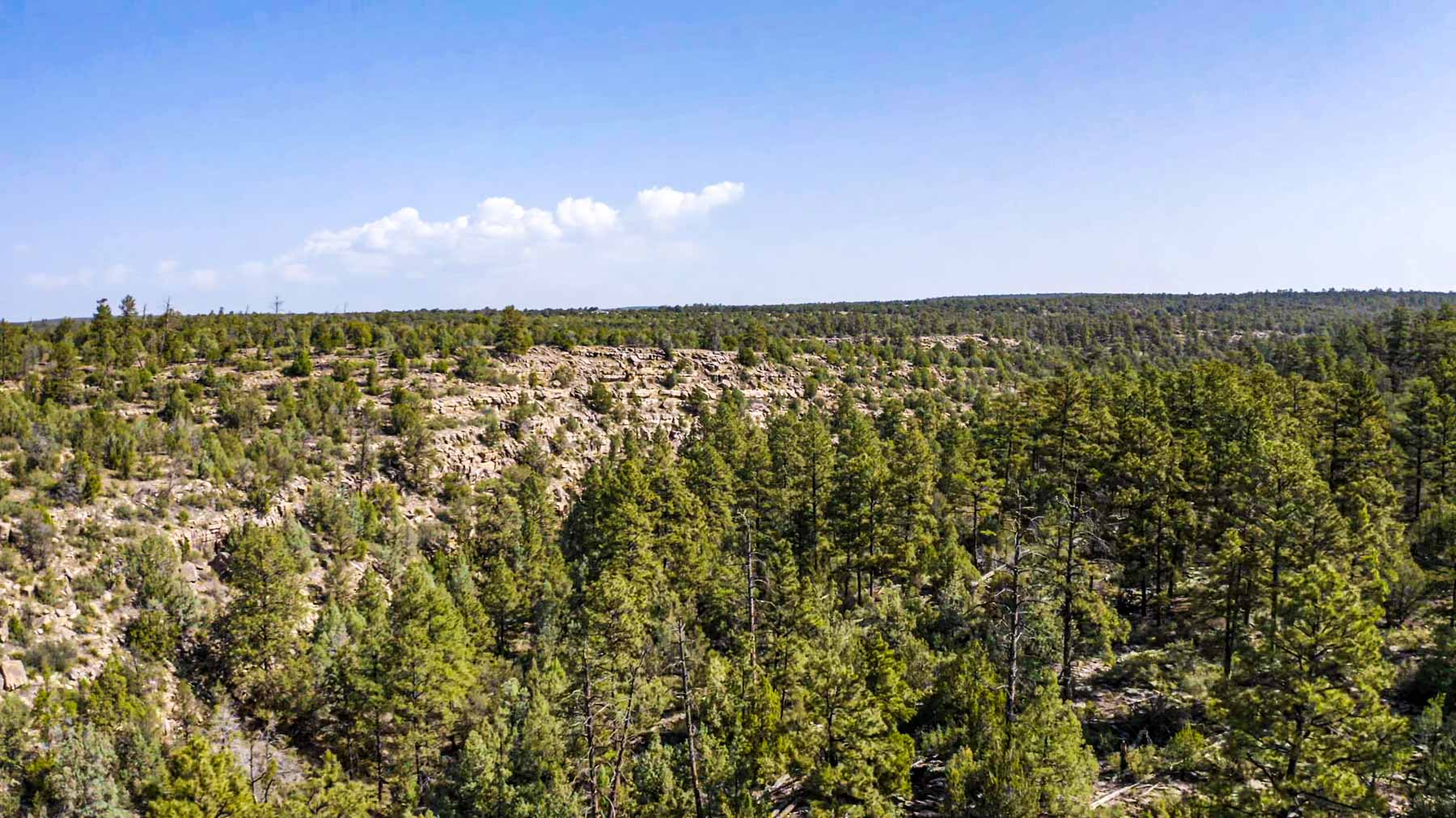 Canon Blanco Ranch property picture 98 of 120