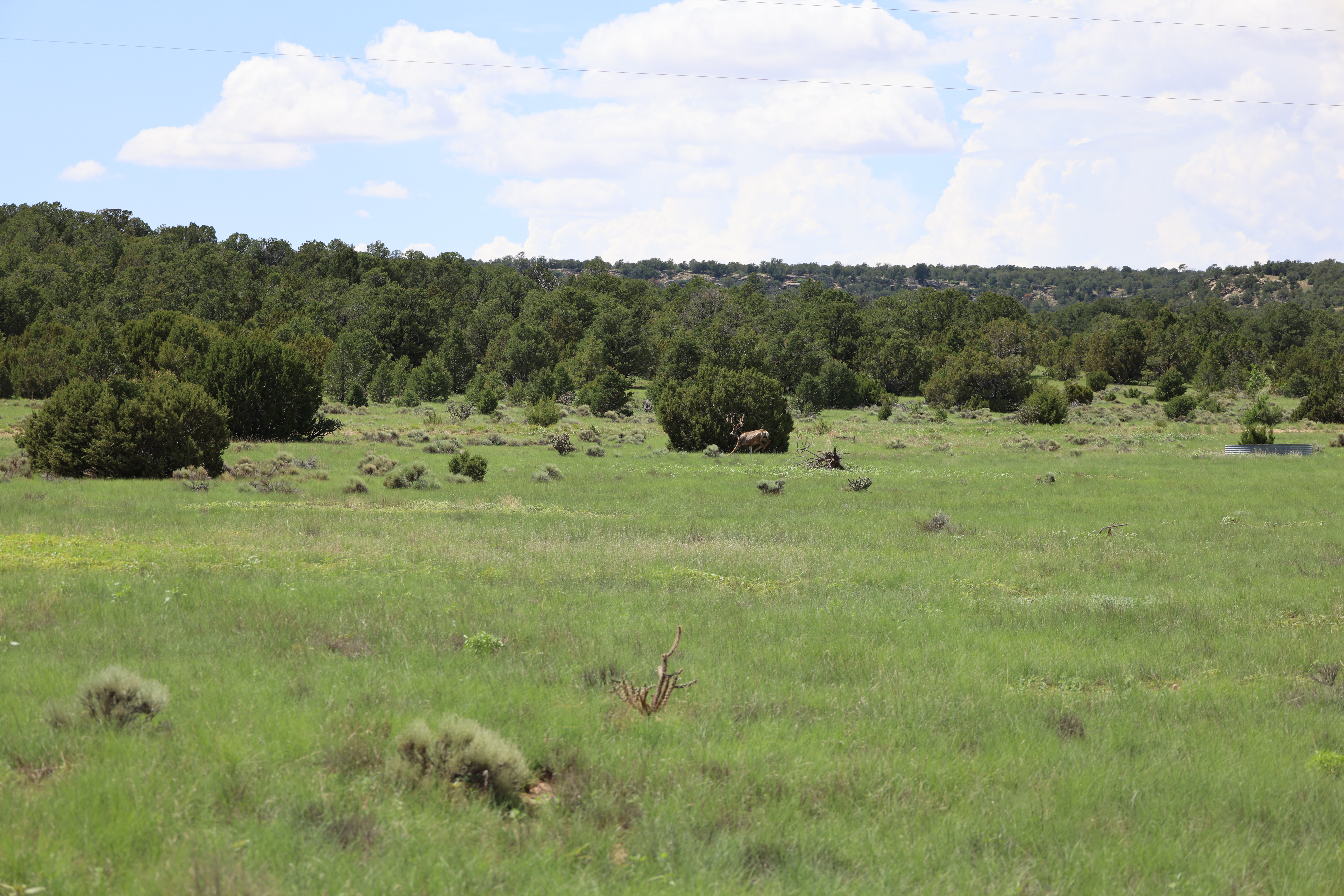 Canon Blanco Ranch property picture 102 of 120