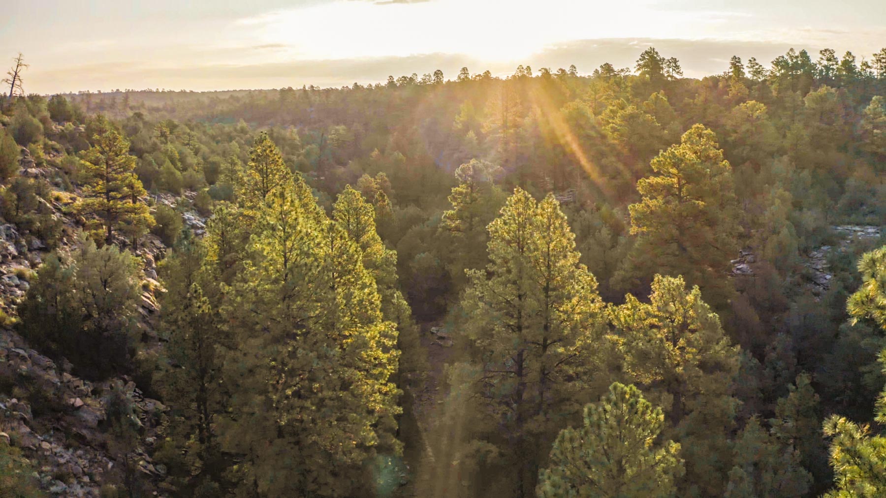 Canon Blanco Ranch property picture 96 of 120