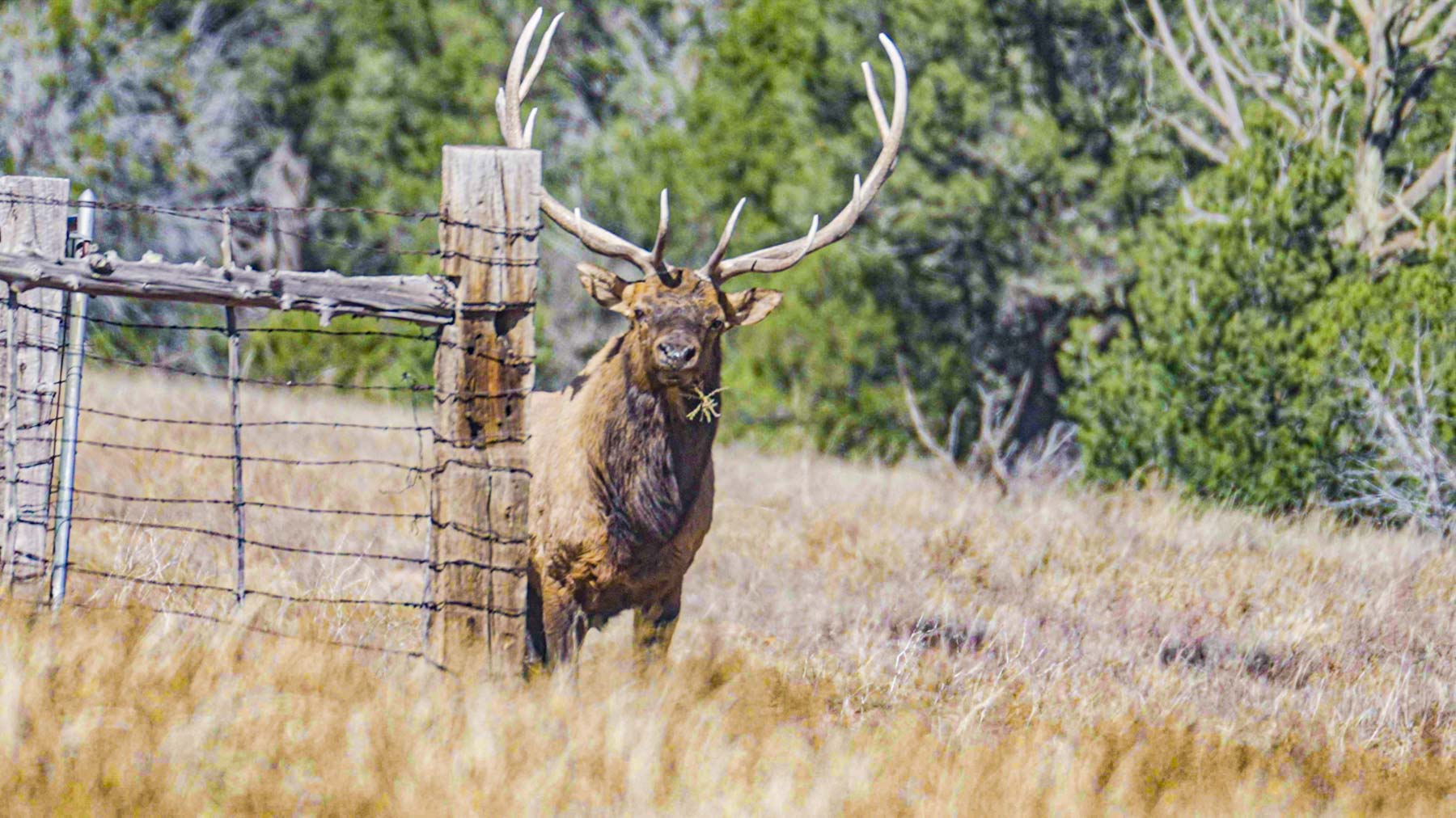 Canon Blanco Ranch property picture 40 of 120